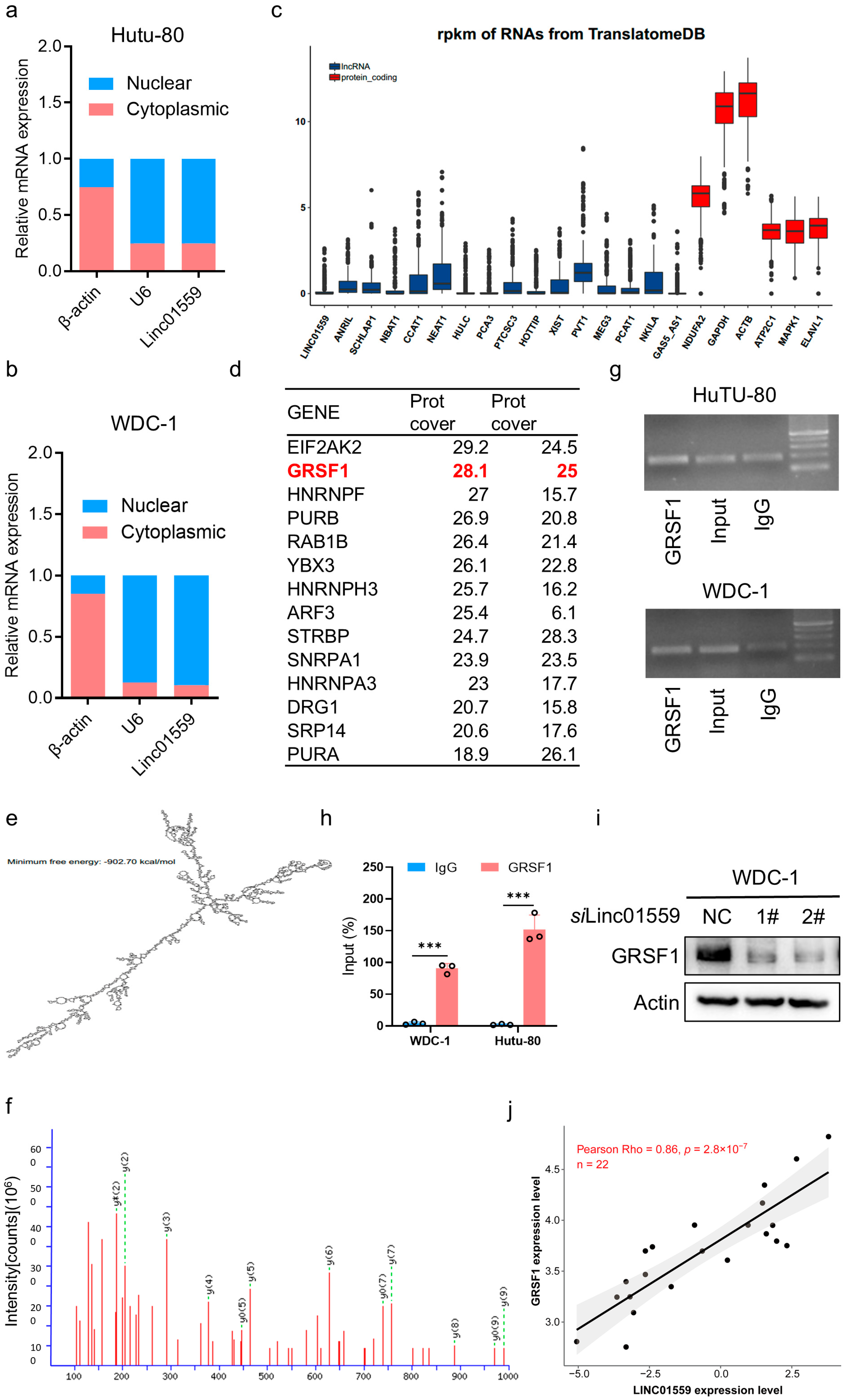 Biomedicines 13 01611 g004 Biomedicines 13 01611 g004