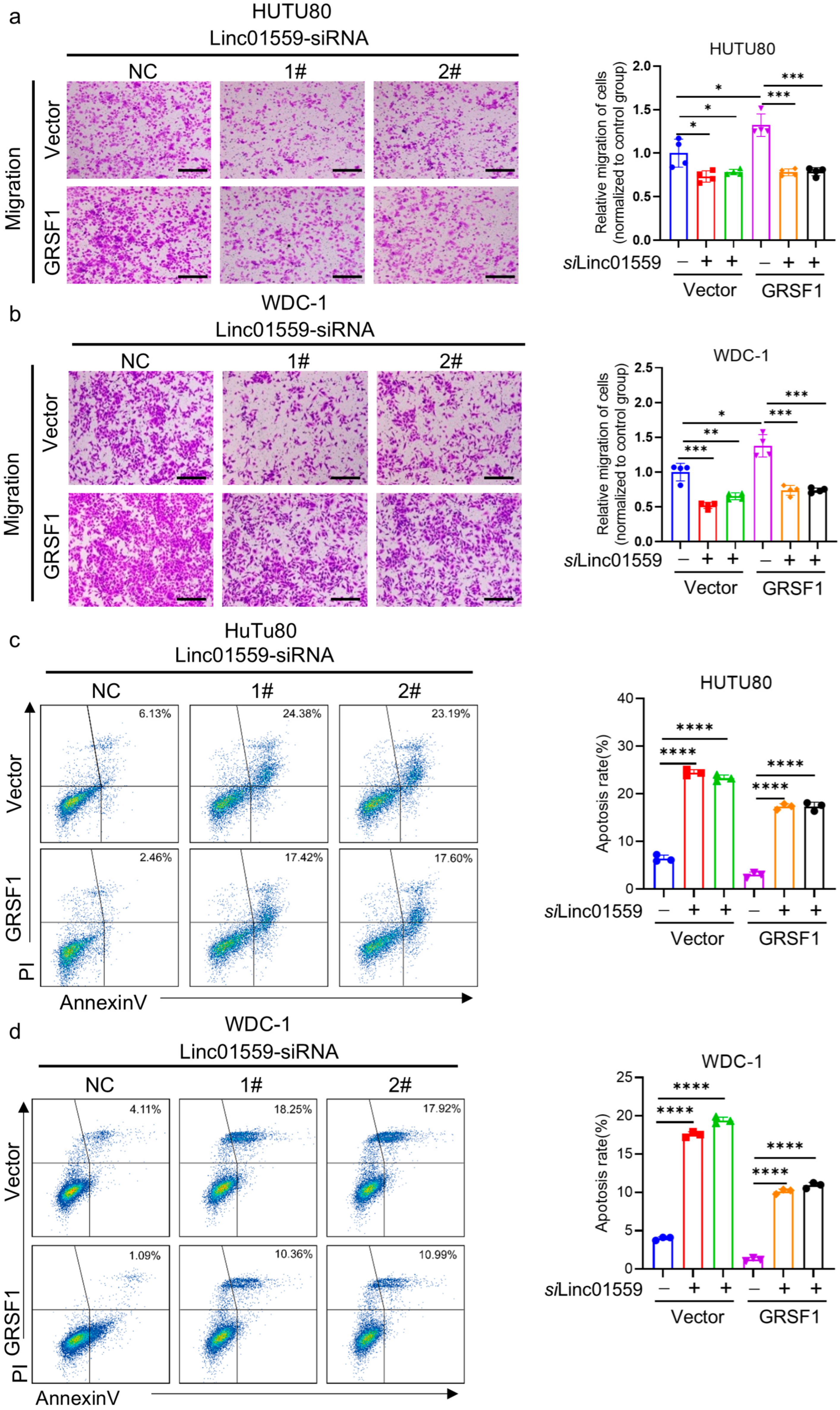 Biomedicines 13 01611 g005 Biomedicines 13 01611 g005