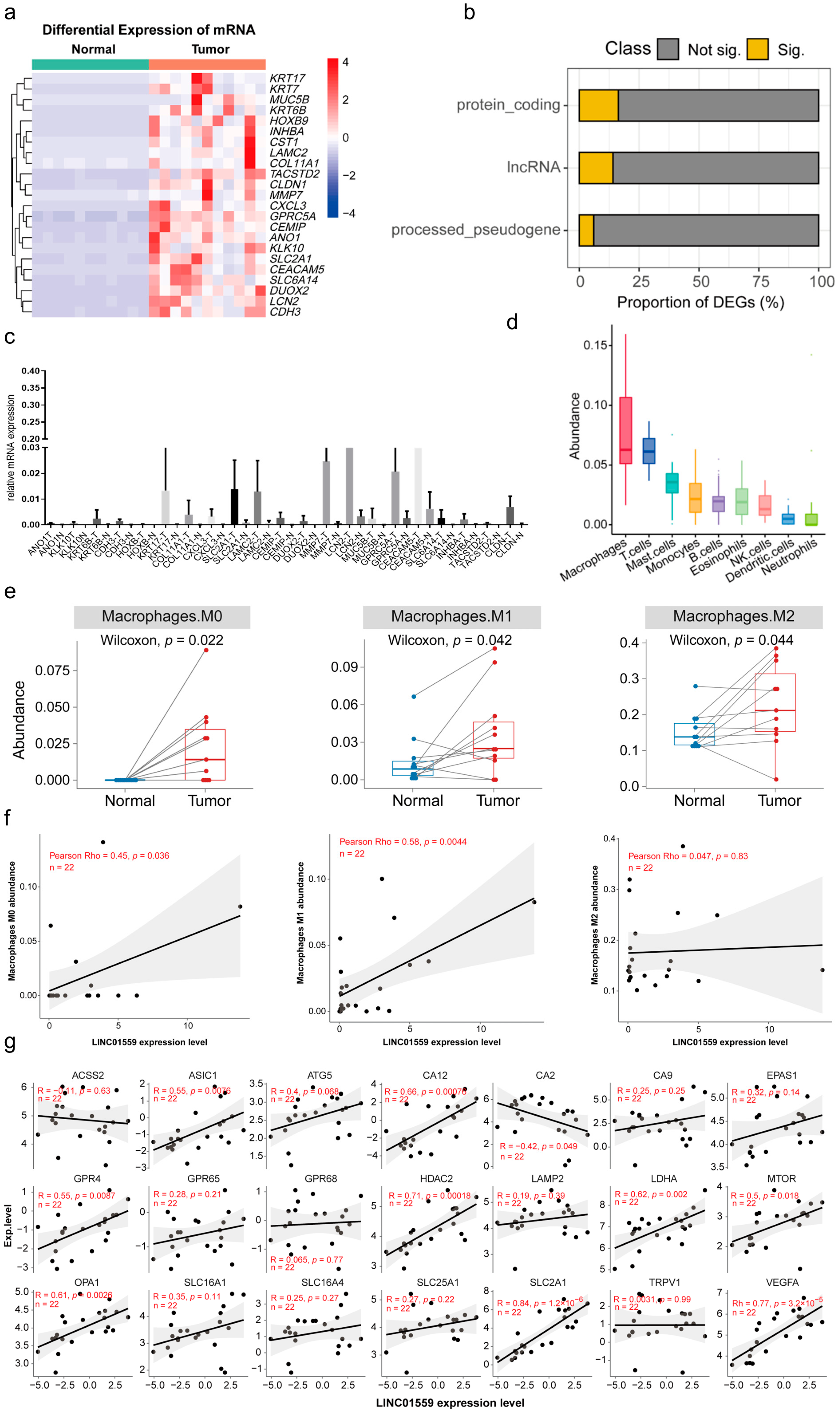 Biomedicines 13 01611 g0a1 Biomedicines 13 01611 g0a1