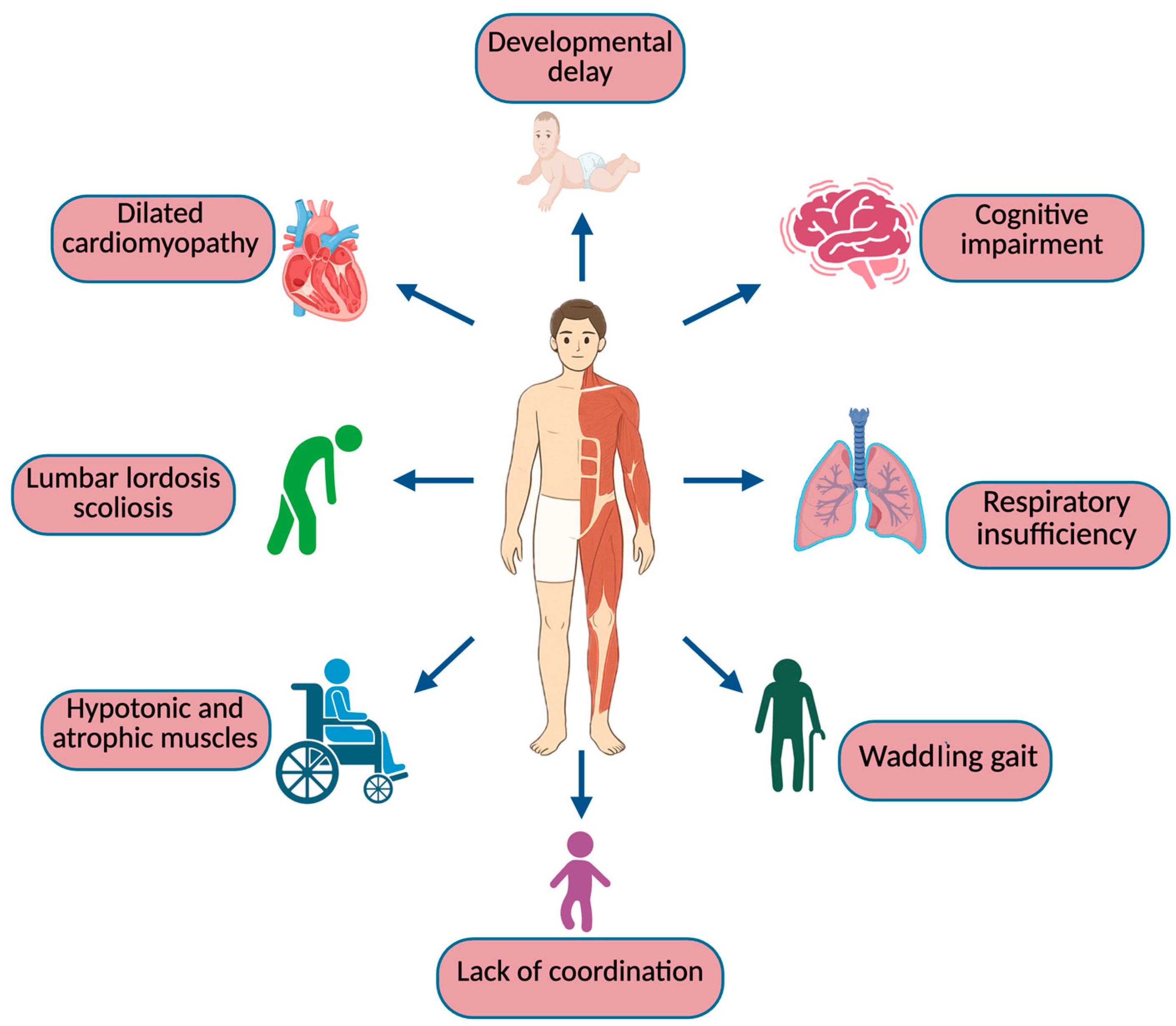 Biomedicines 13 01613 g001