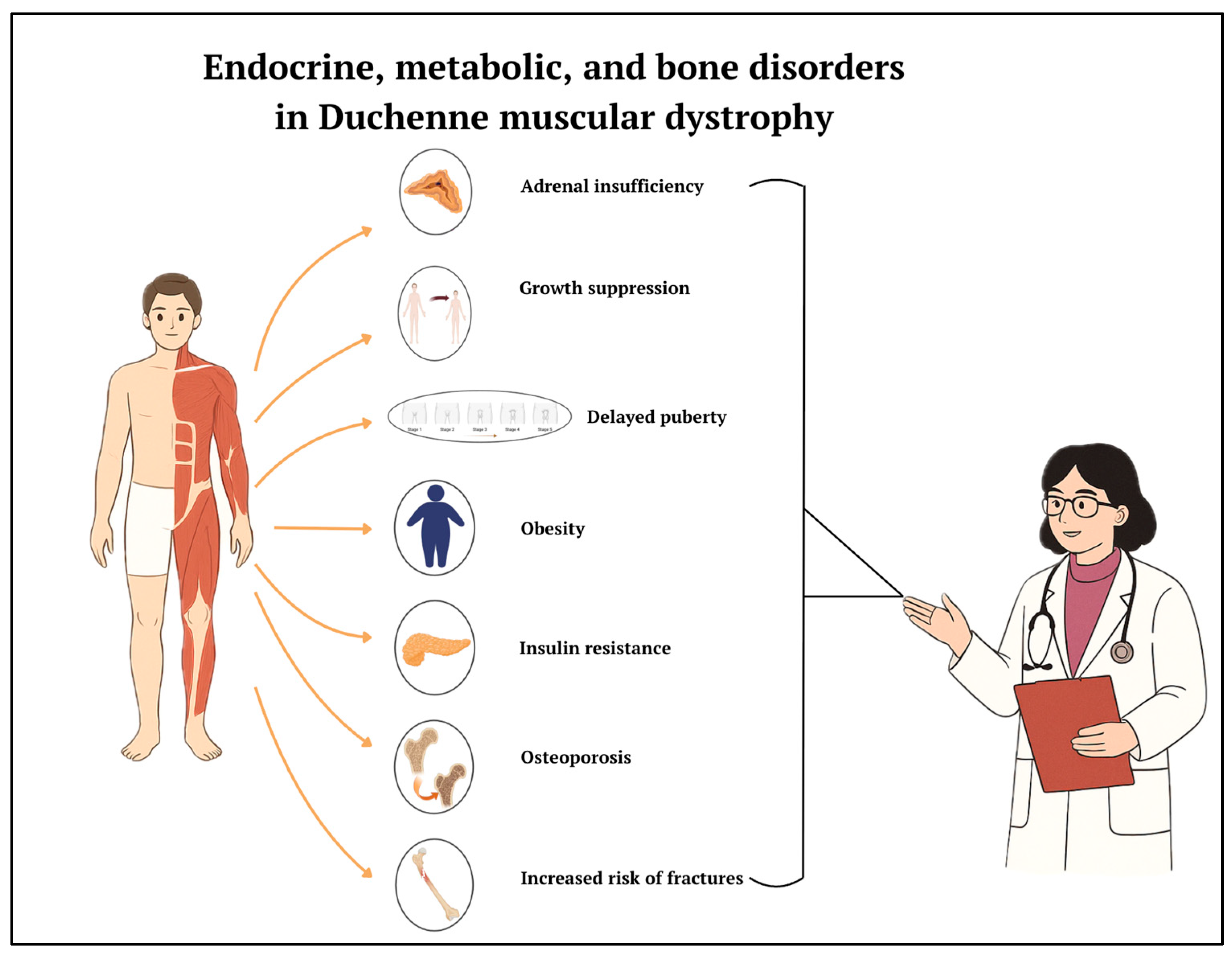 Biomedicines 13 01613 g004
