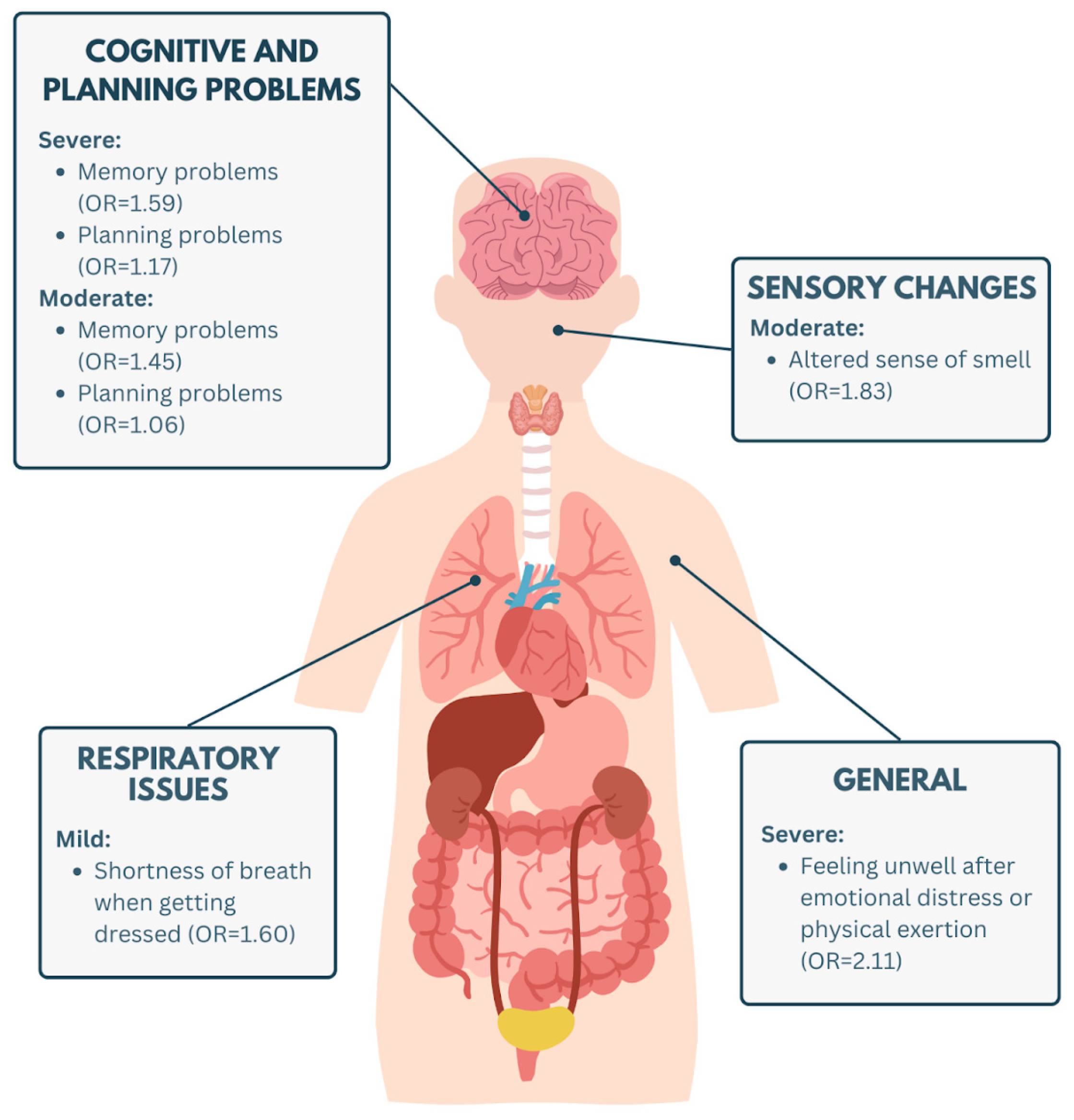 Biomedicines 13 01615 g002