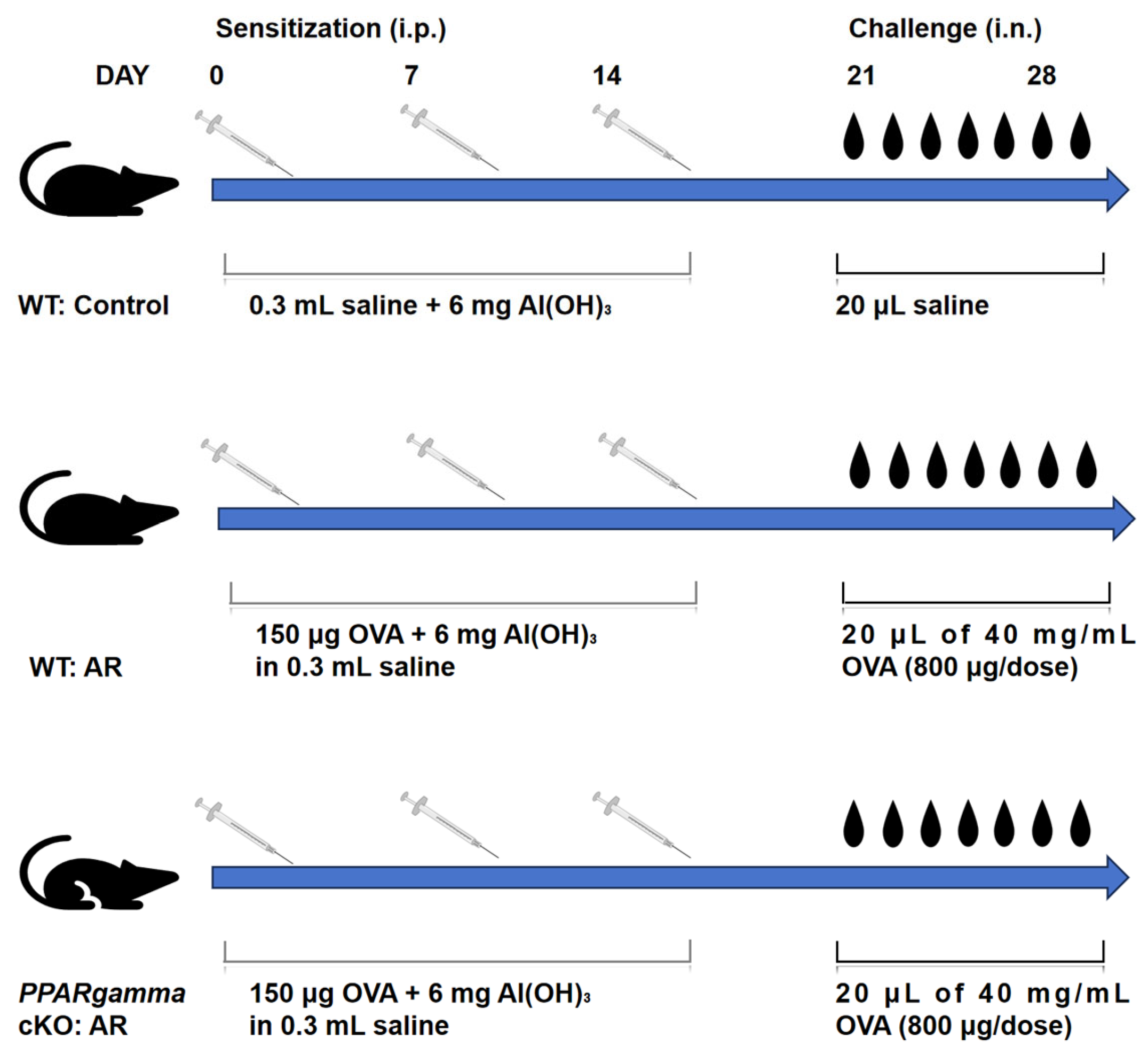 Biomedicines 13 01616 g001