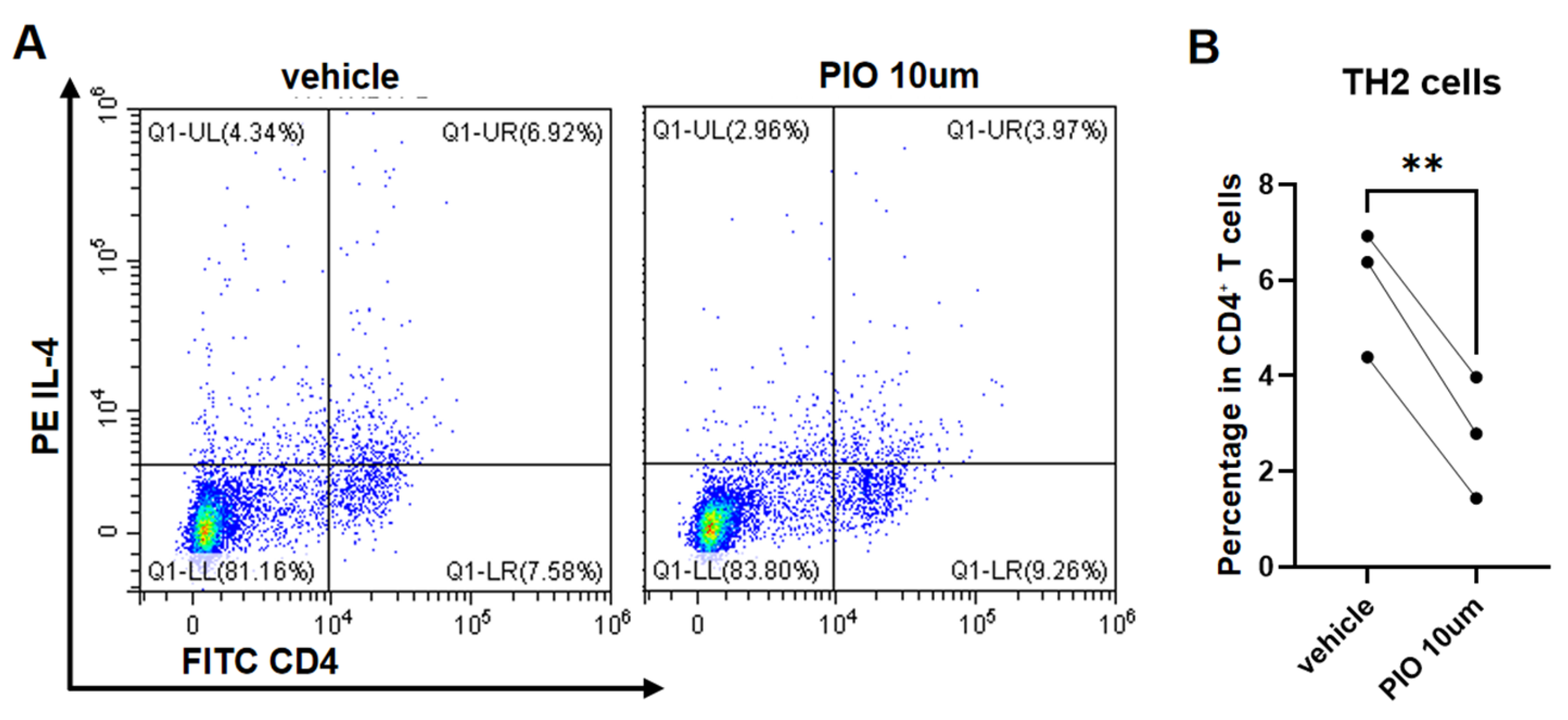 Biomedicines 13 01616 g005