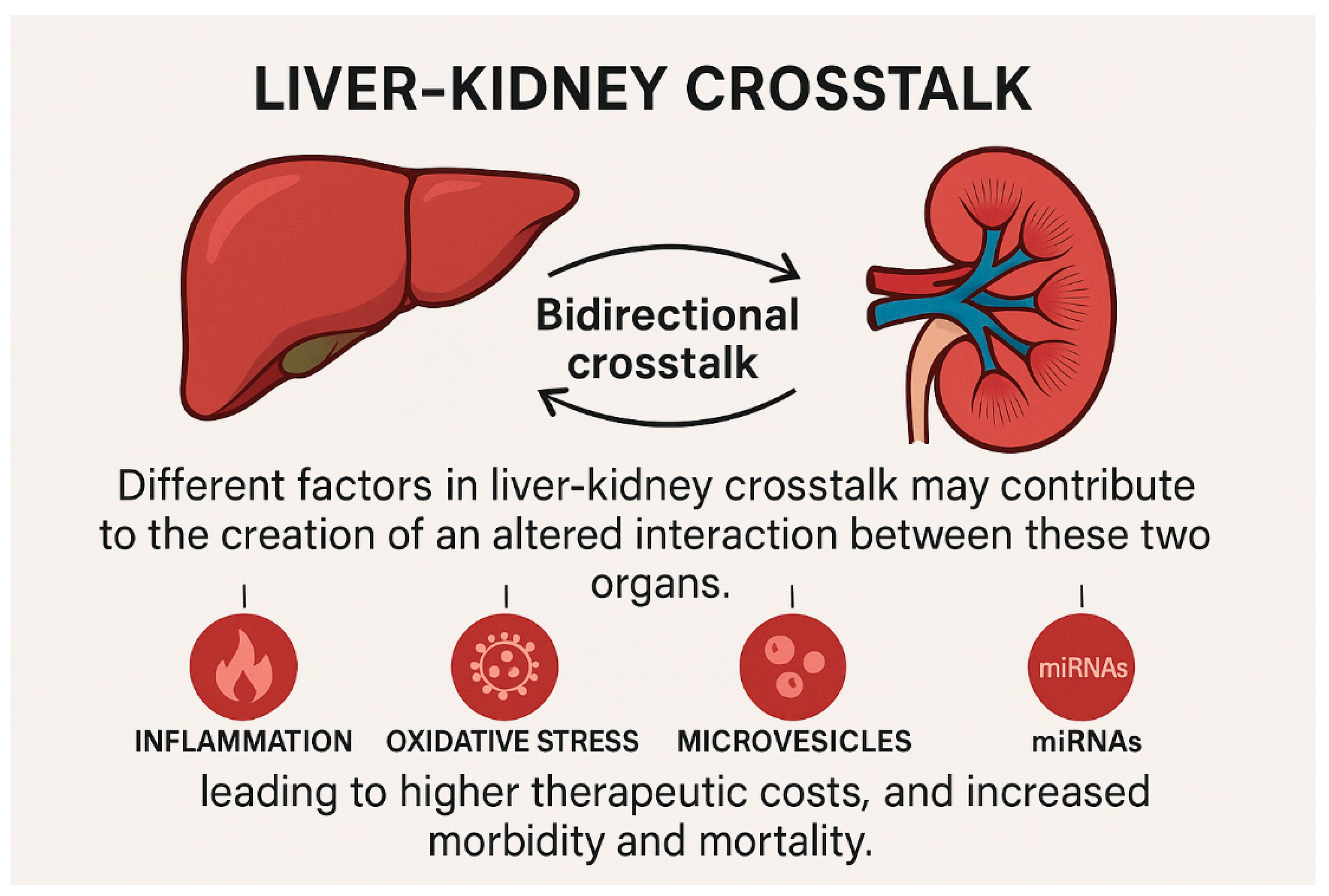 Biomedicines 13 01618 g002