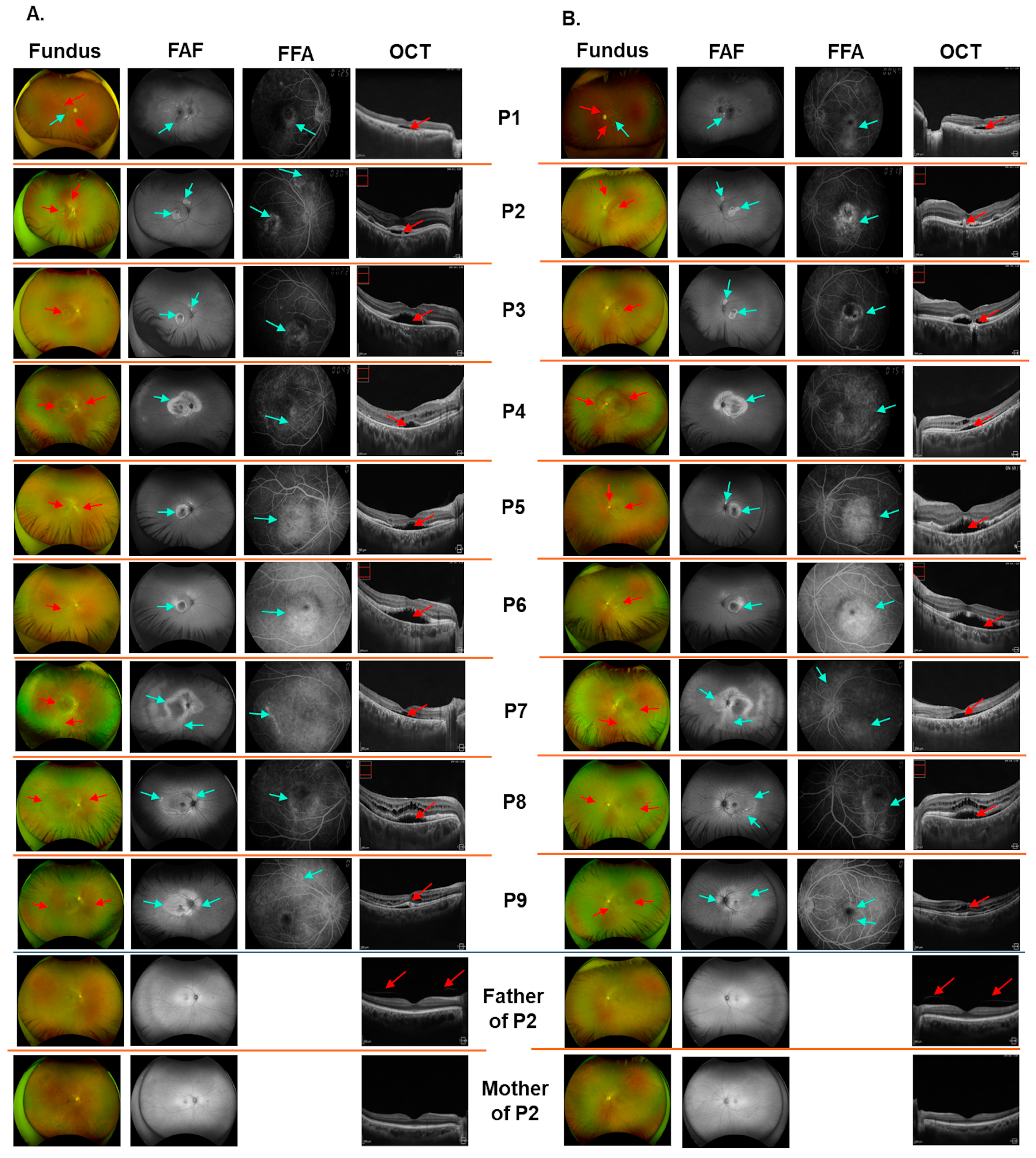 Biomedicines 13 01625 g001