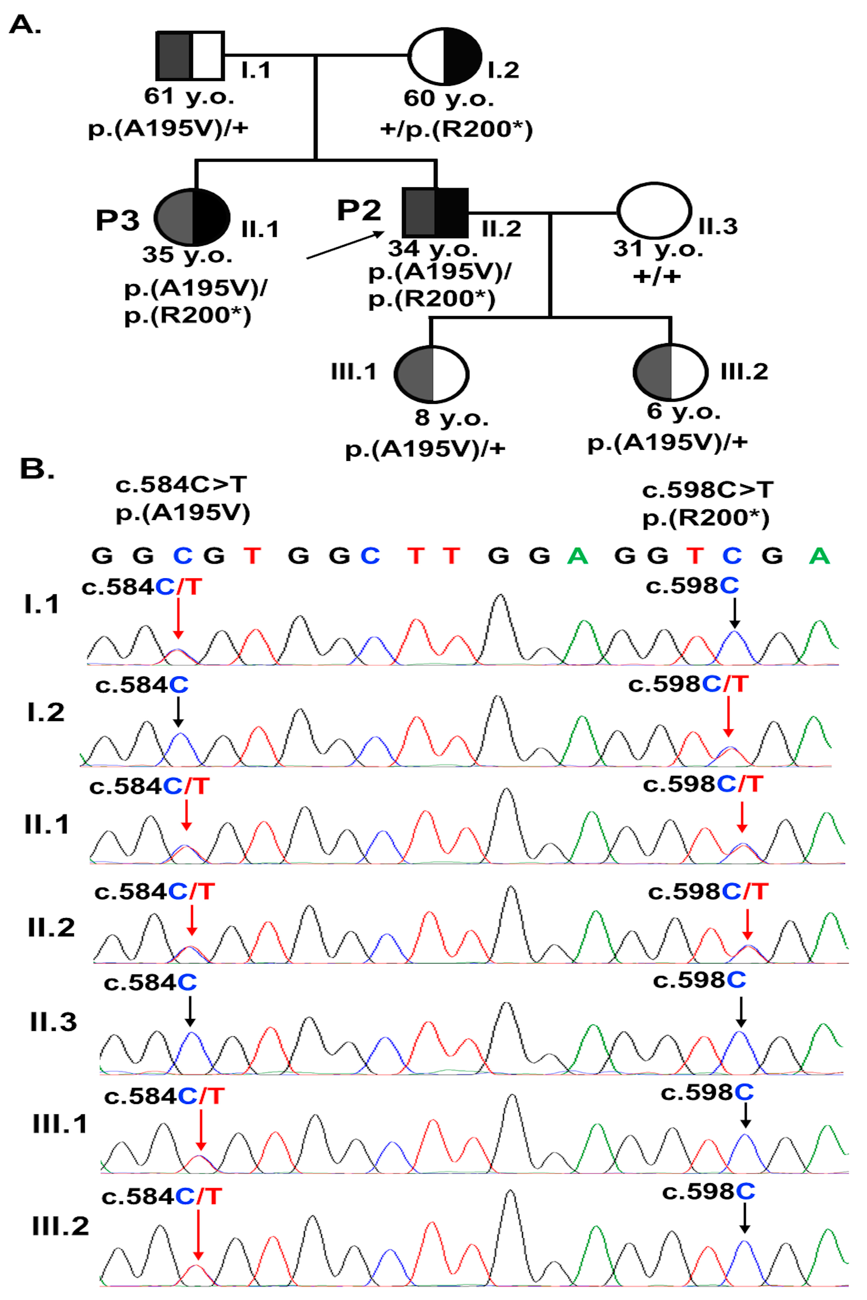Biomedicines 13 01625 g003