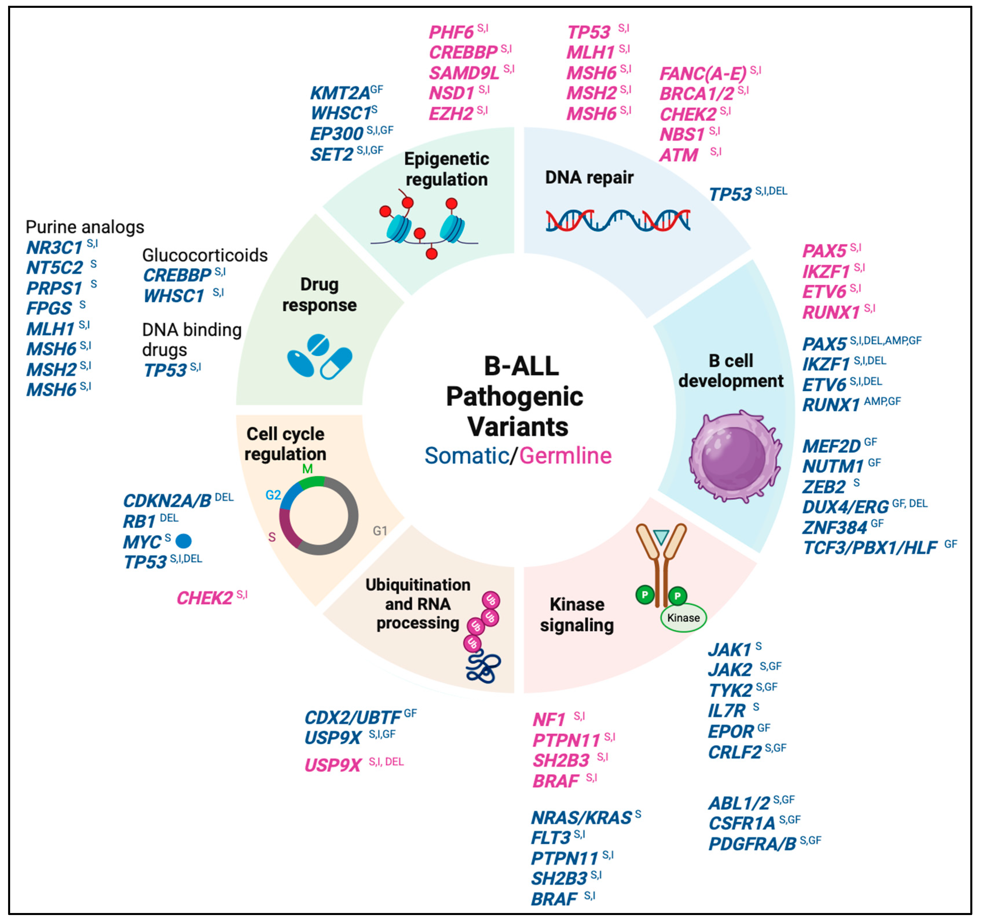 Biomedicines 13 01626 g002