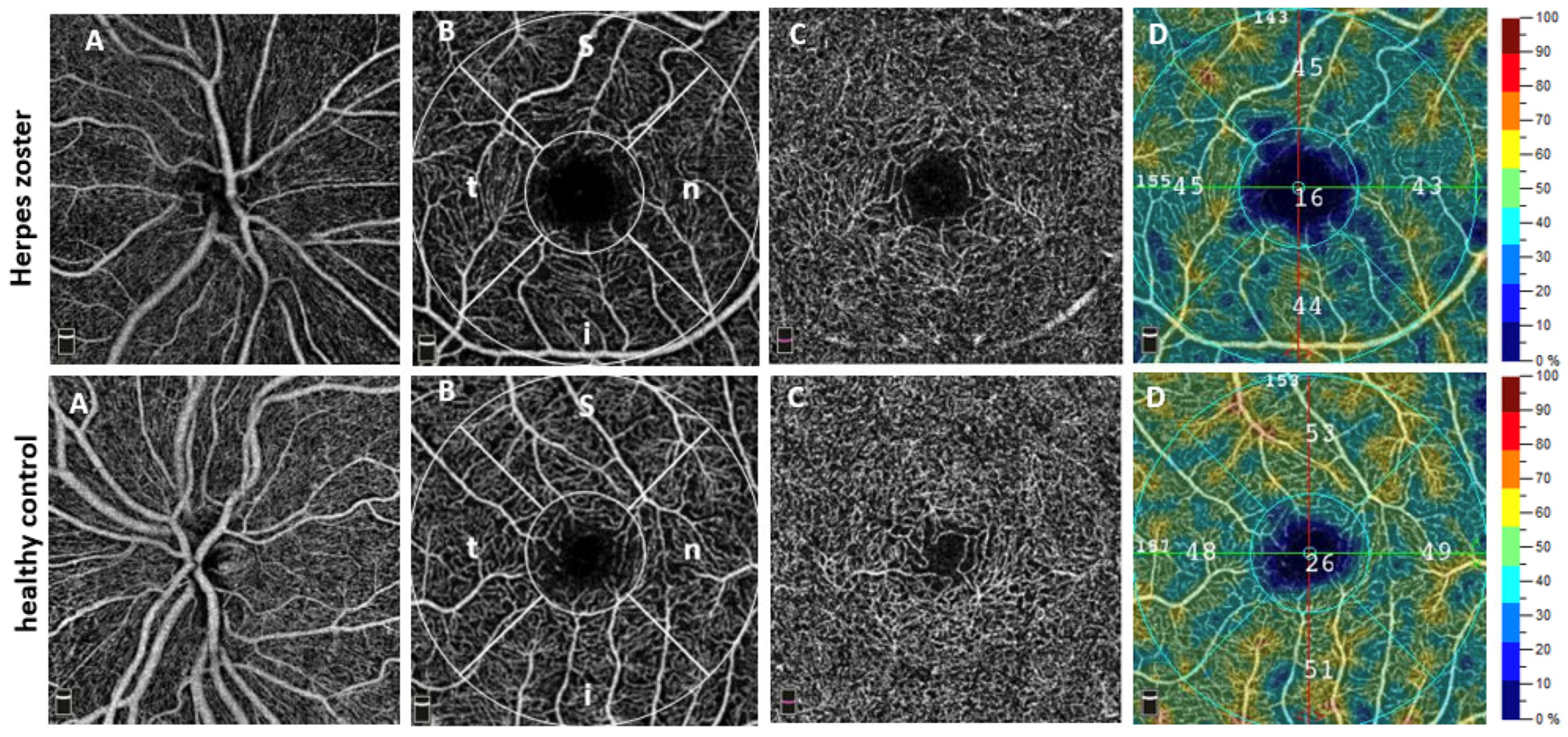 Biomedicines 13 01630 g002