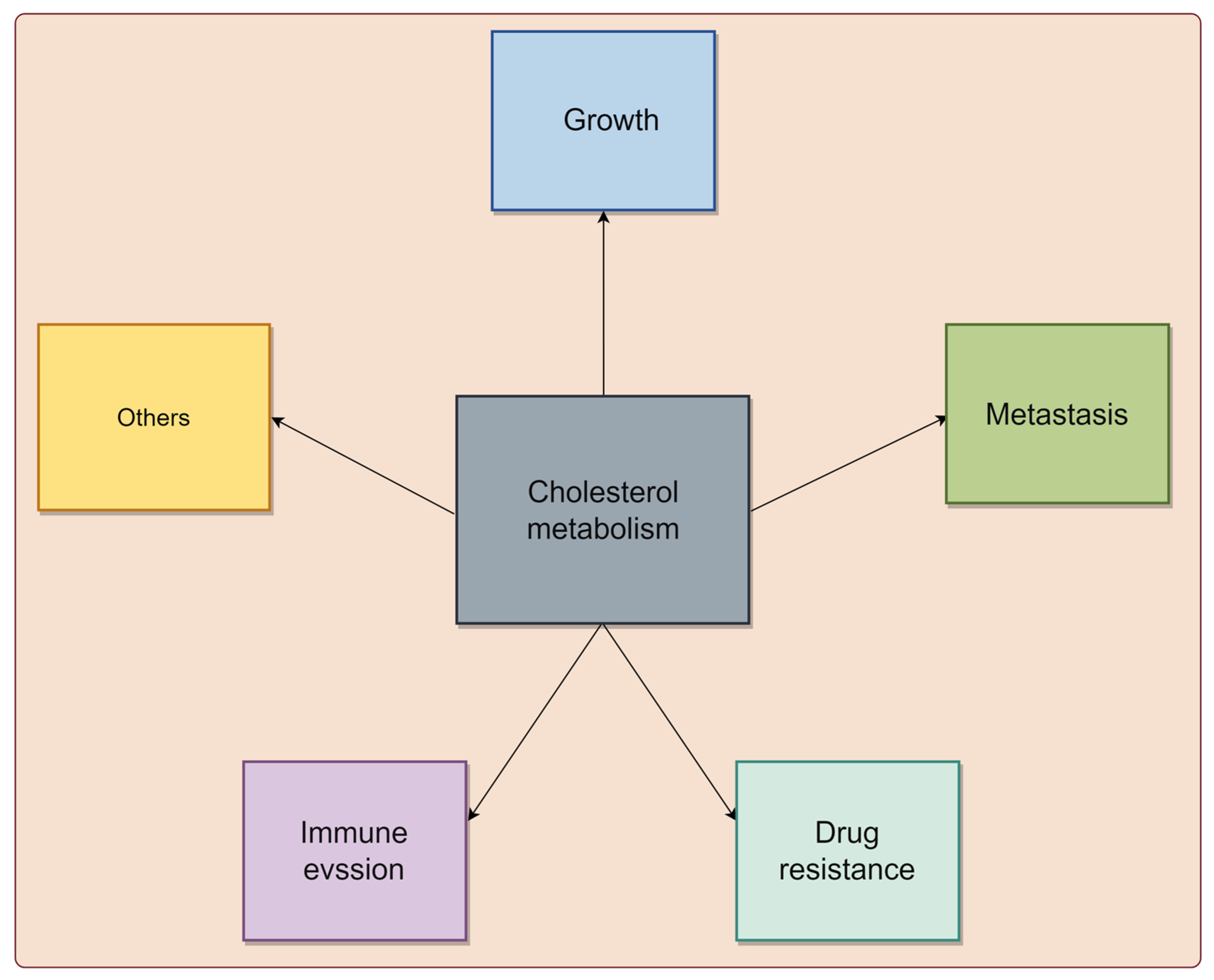 Biomedicines 13 01631 g001
