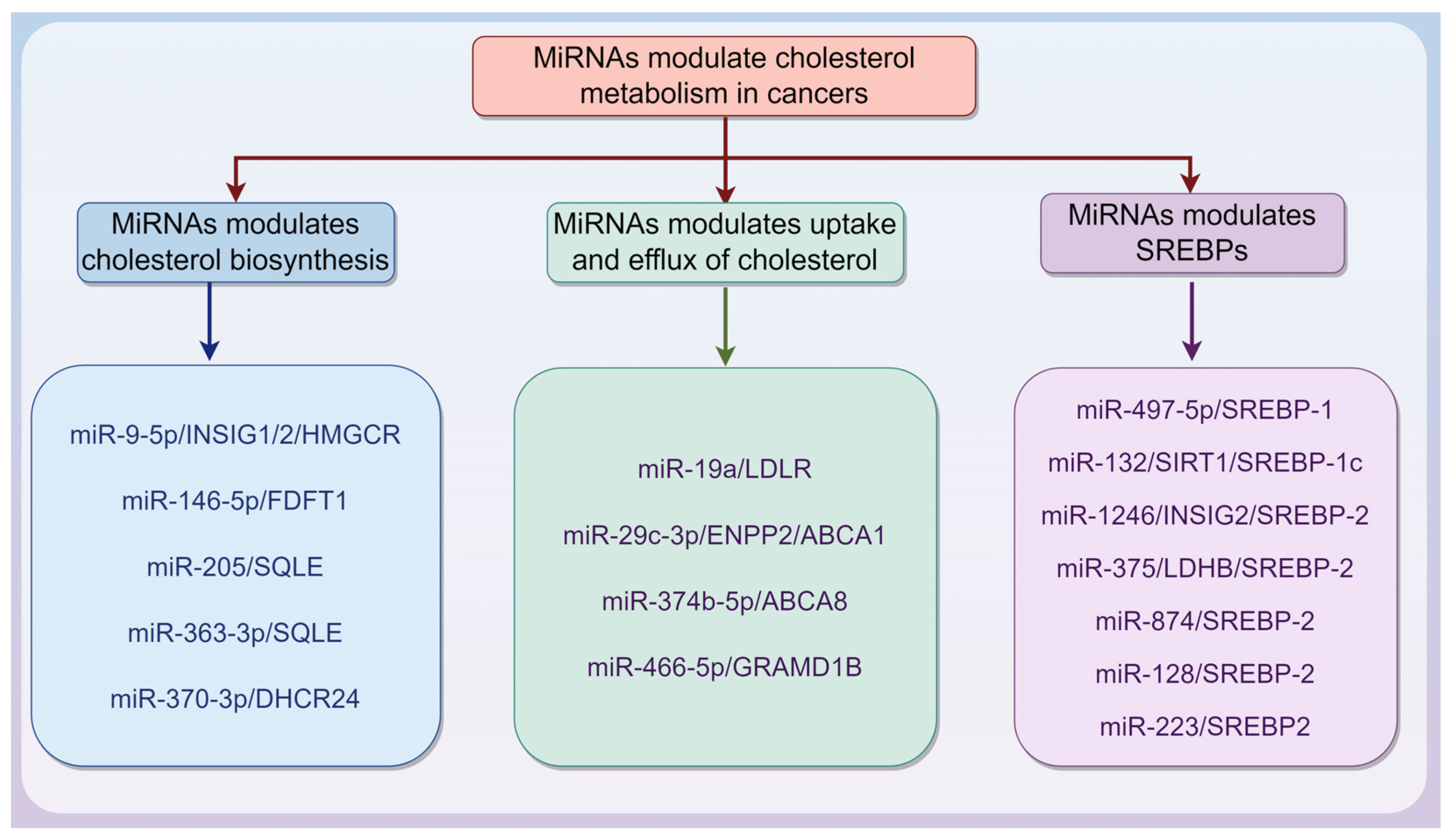 Biomedicines 13 01631 g002