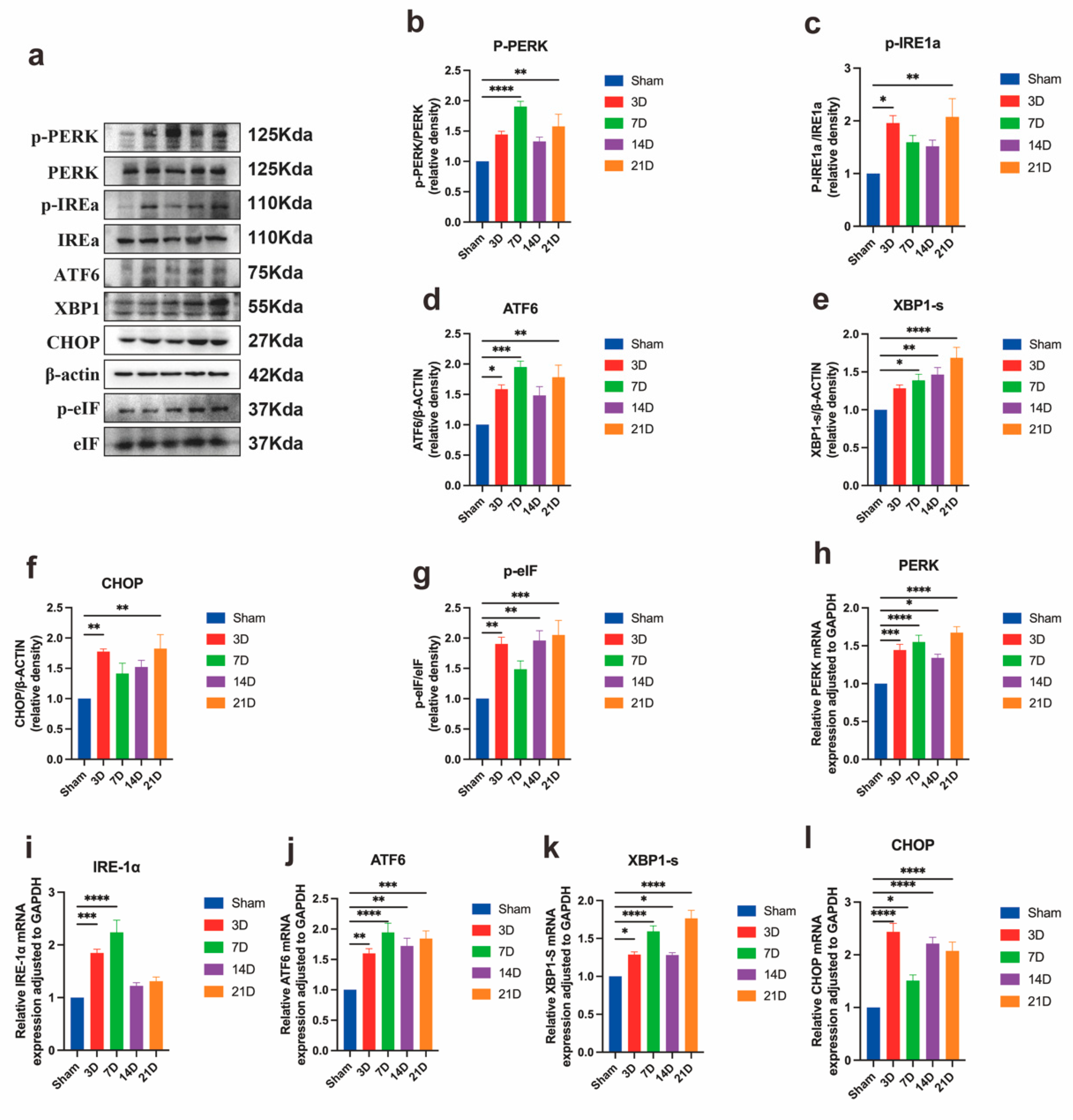Biomedicines 13 01632 g005
