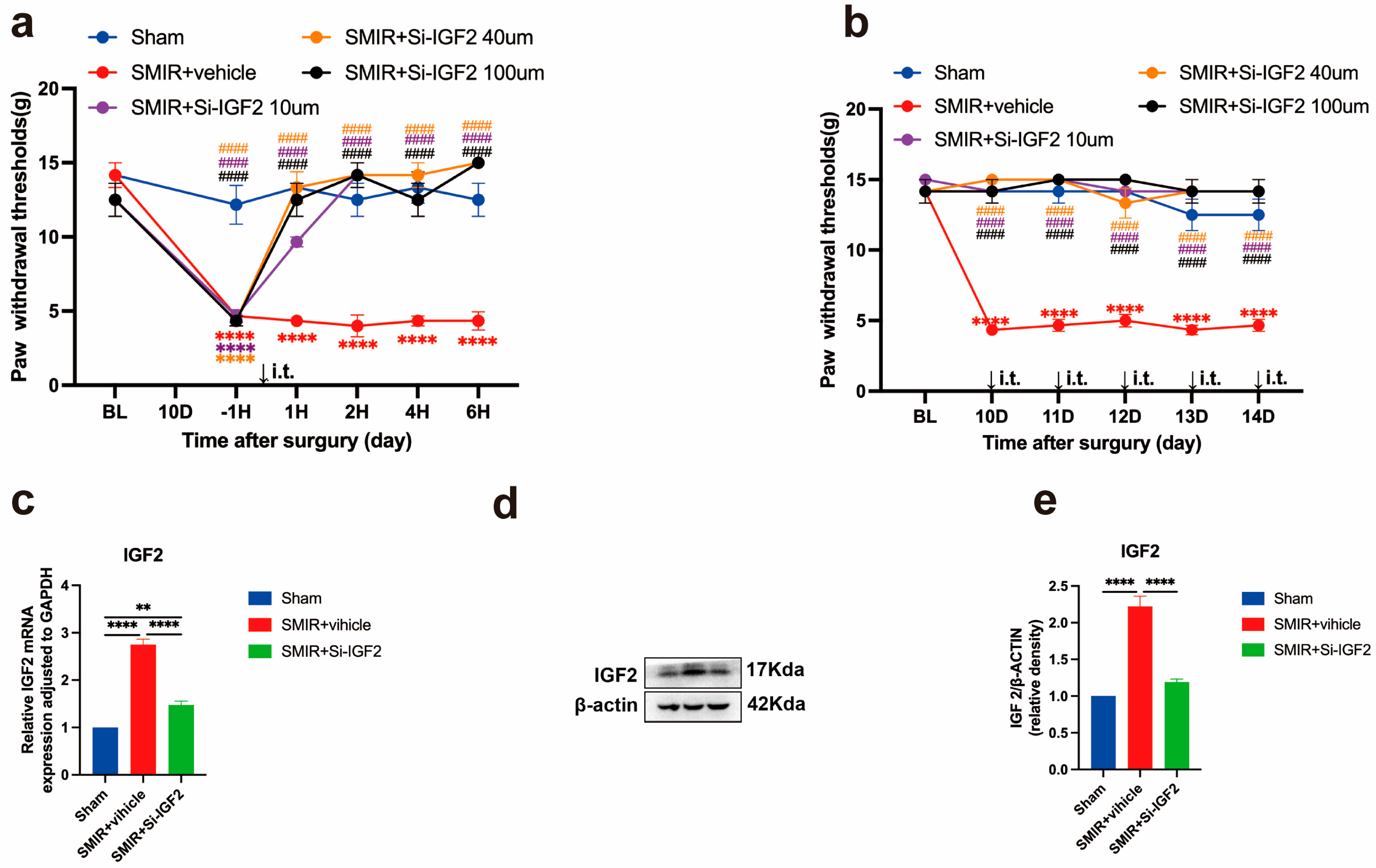 Biomedicines 13 01632 g008