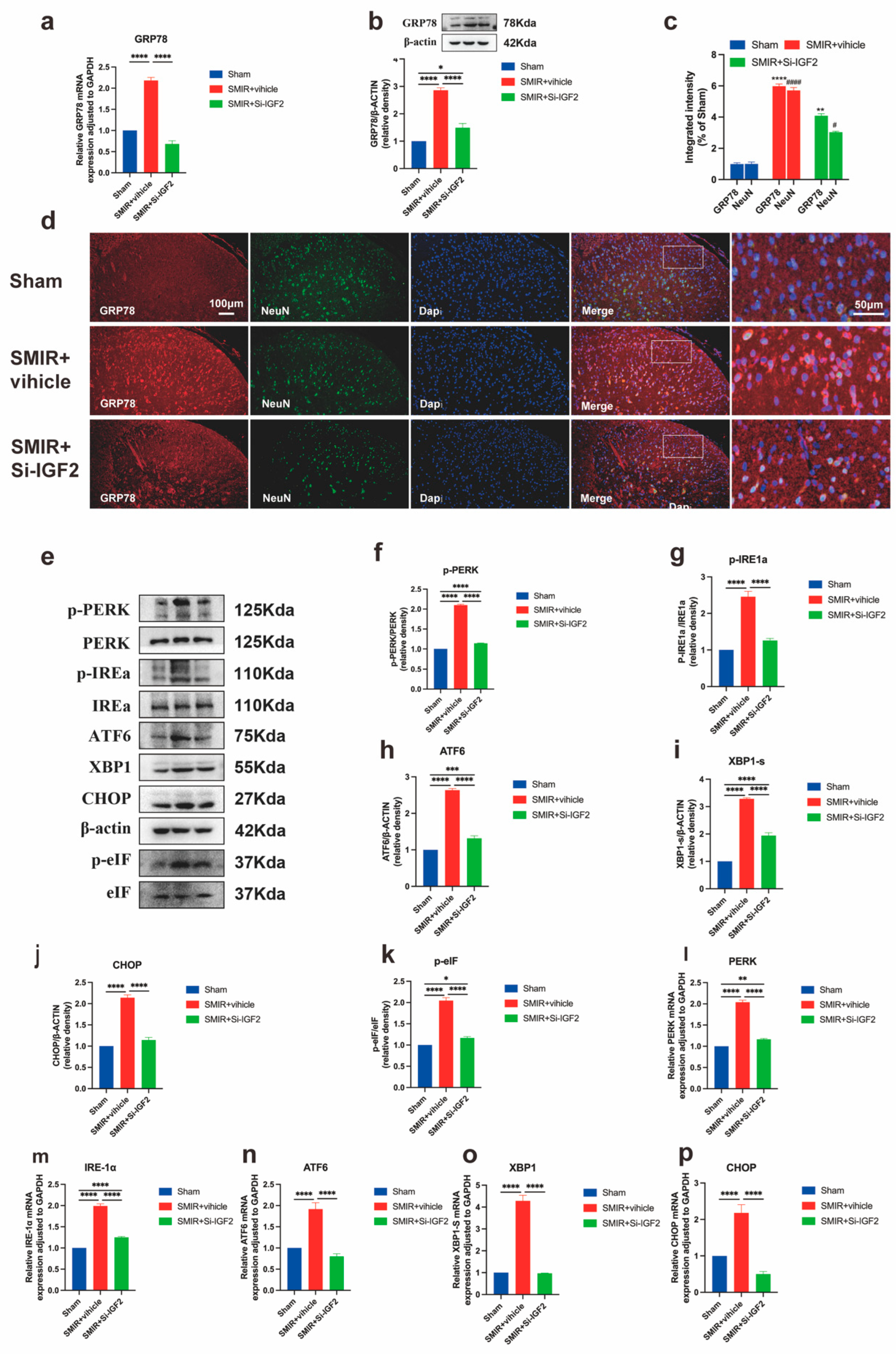 Biomedicines 13 01632 g009