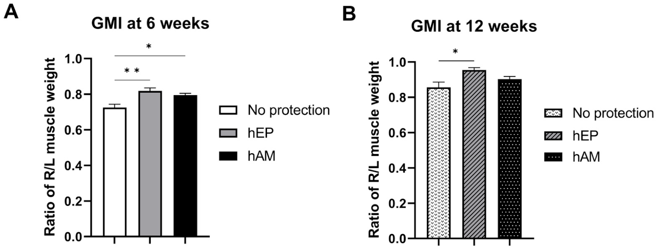 Biomedicines 13 01633 g004