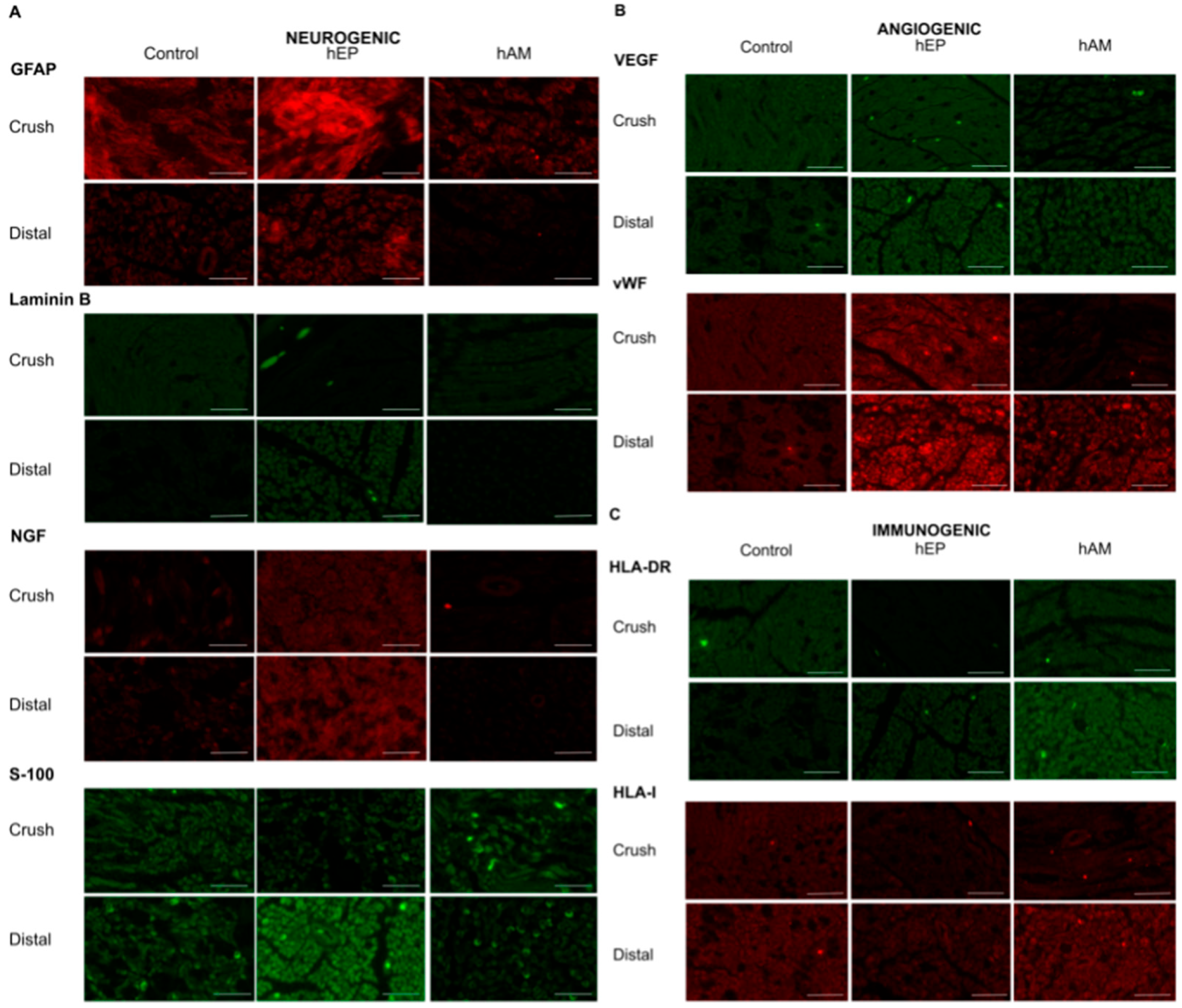 Biomedicines 13 01633 g005