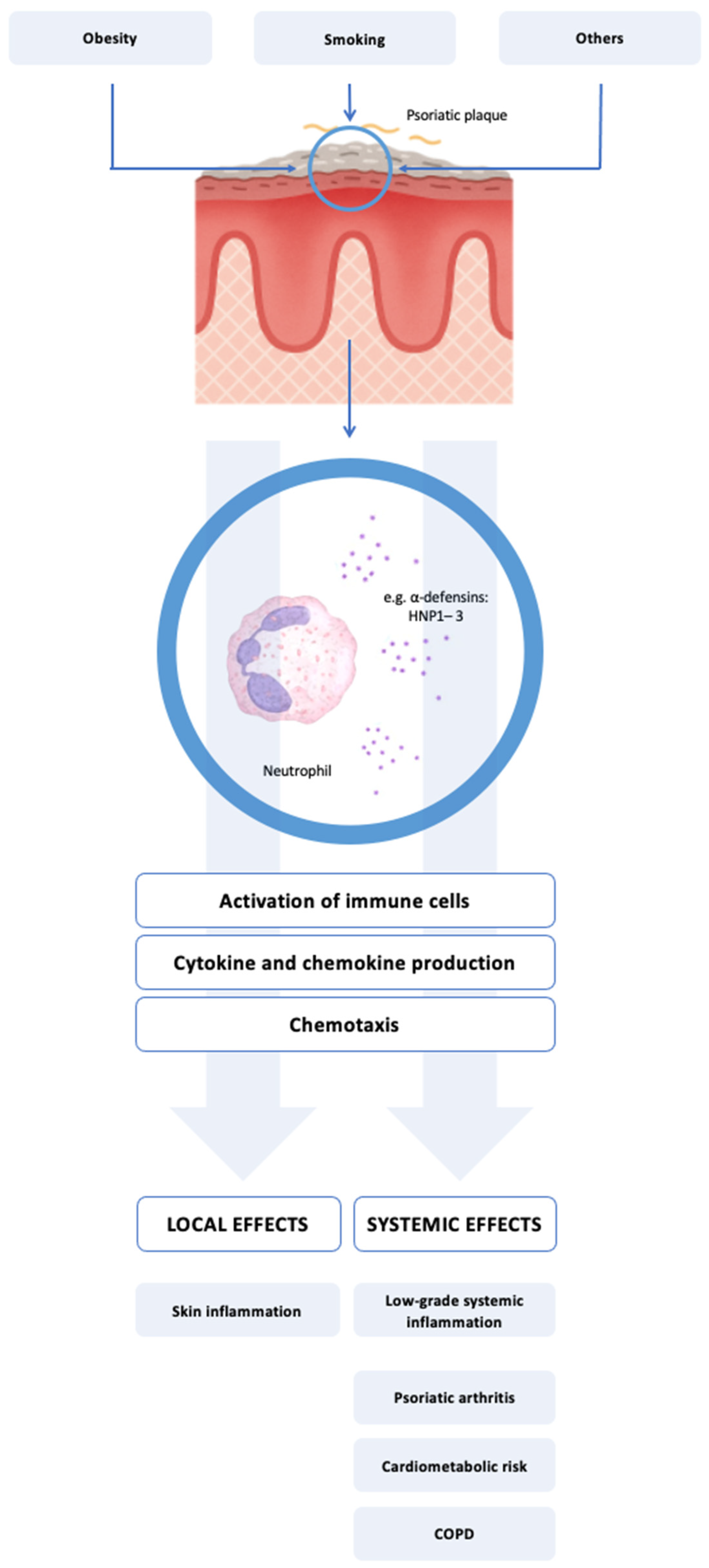 Biomedicines 13 01635 g001