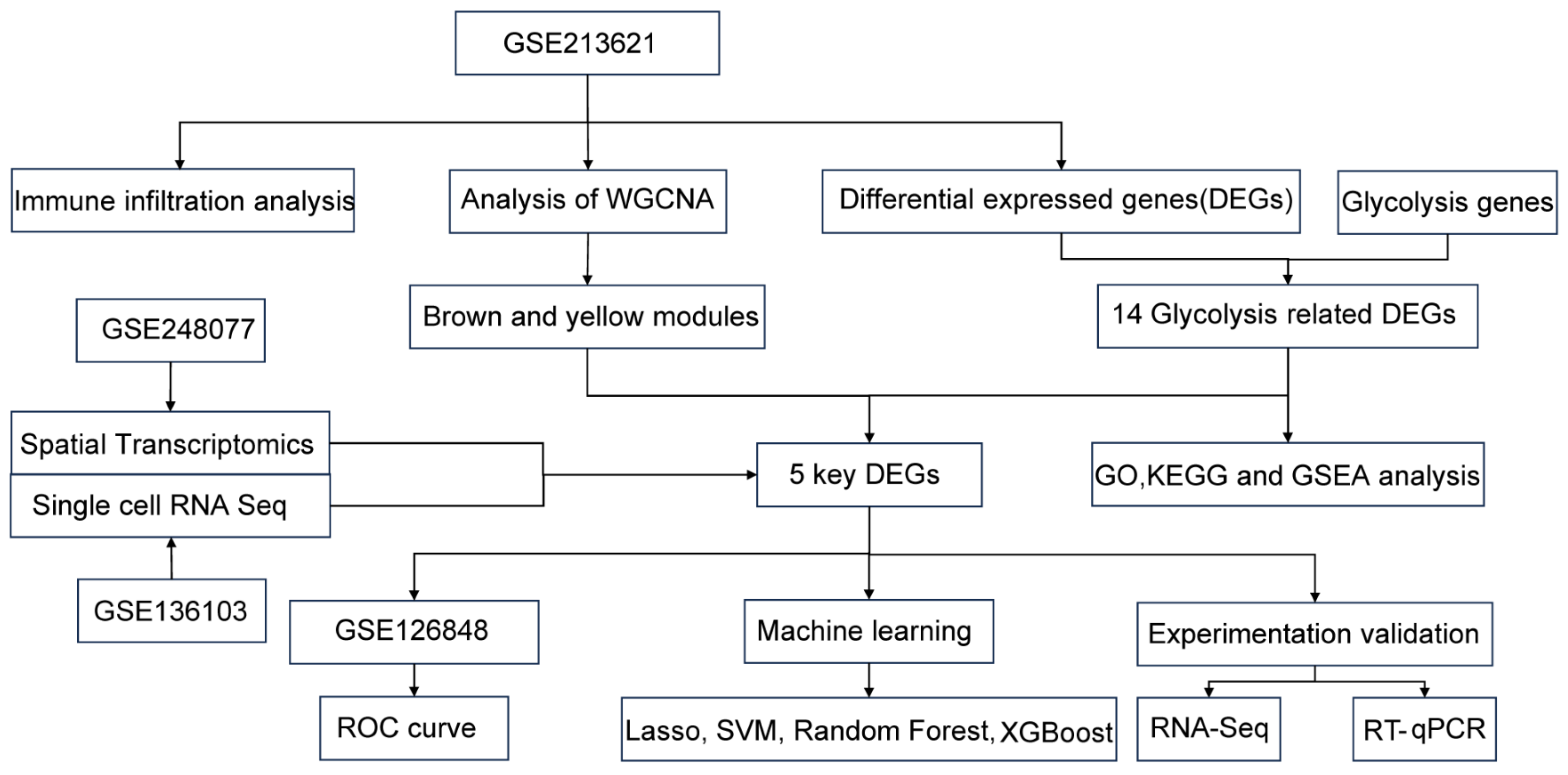 Biomedicines 13 01636 g001