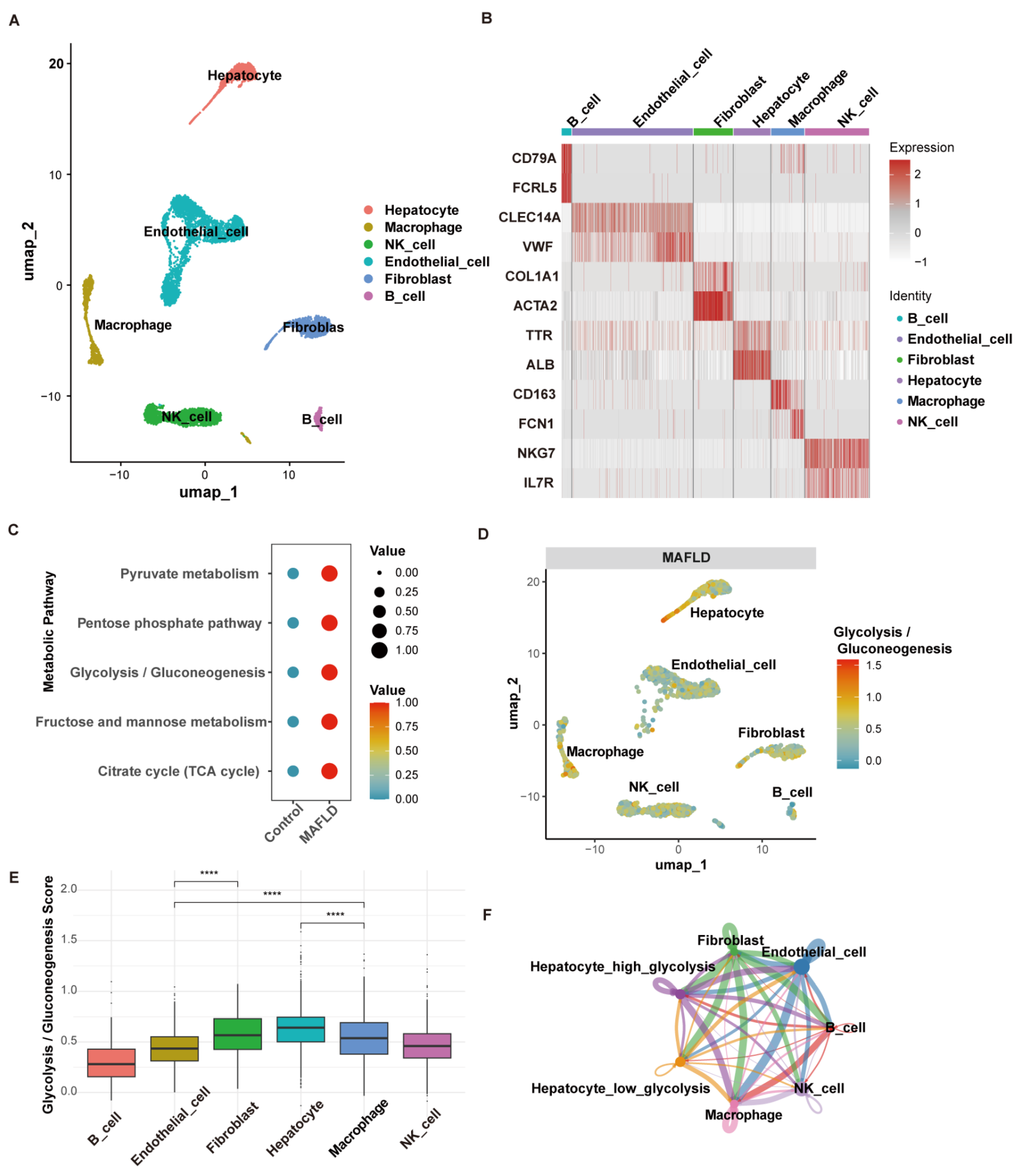 Biomedicines 13 01636 g005