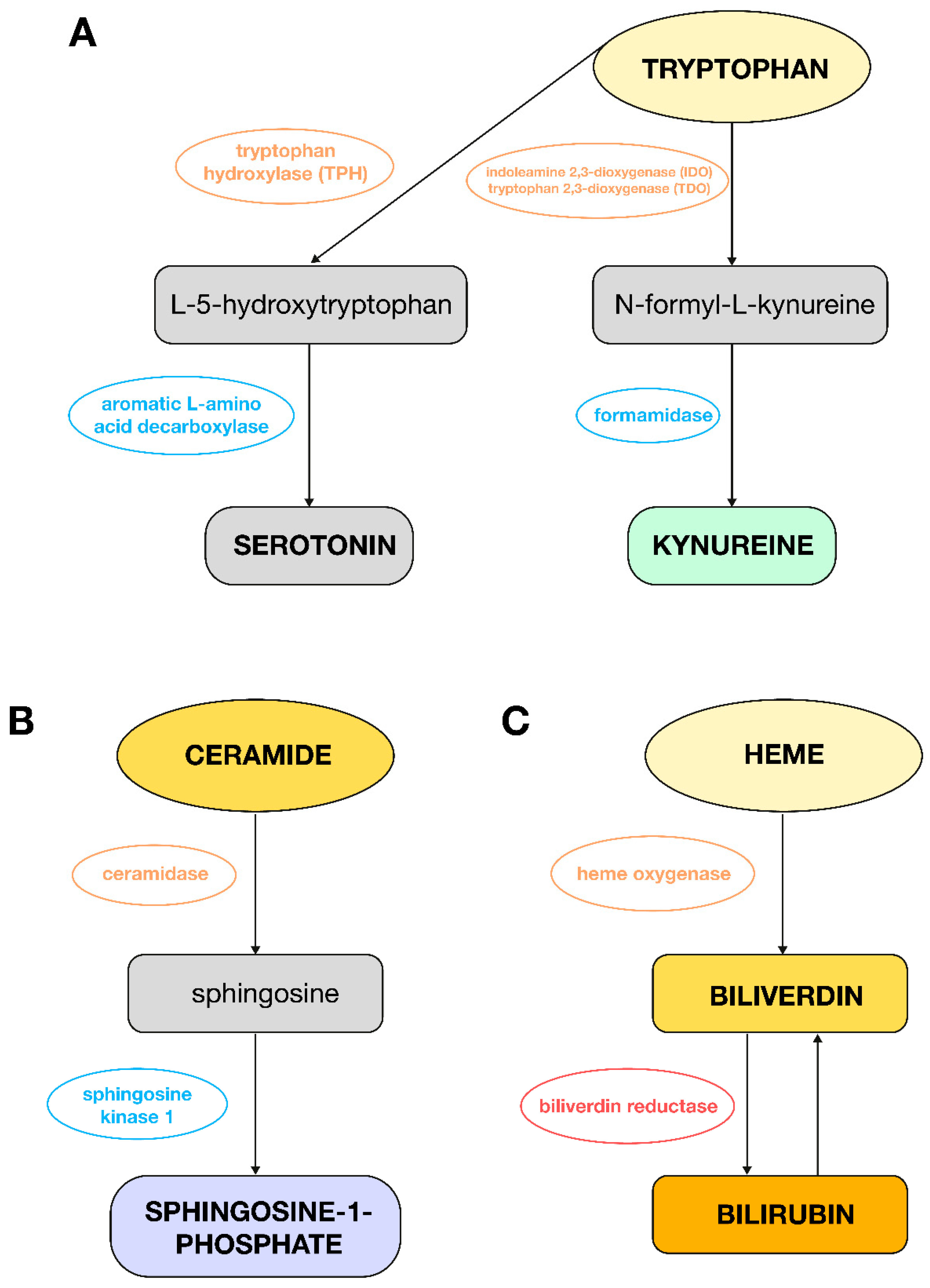 Biomedicines 13 01637 g003