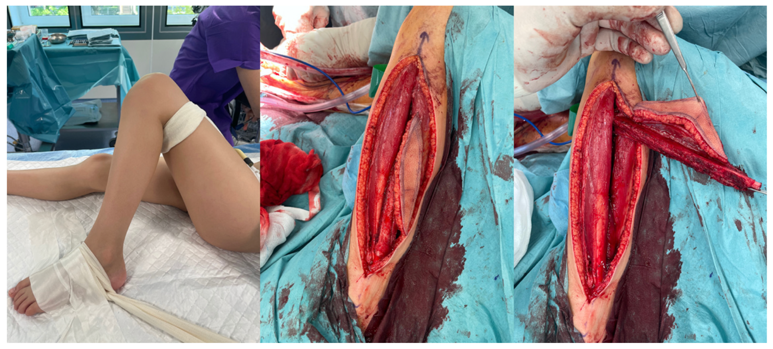 Biomedicines 13 01638 g002