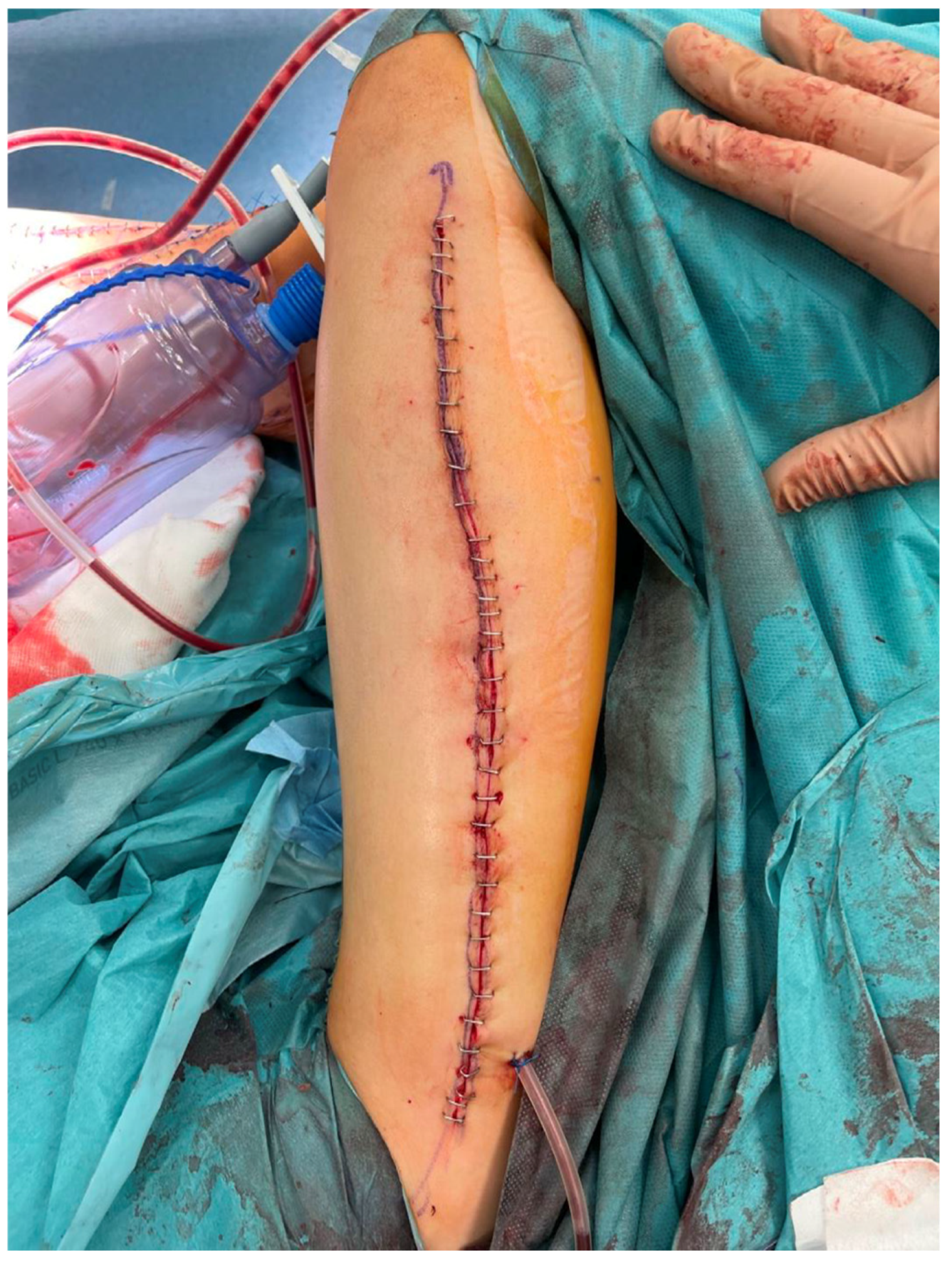 Biomedicines 13 01638 g006