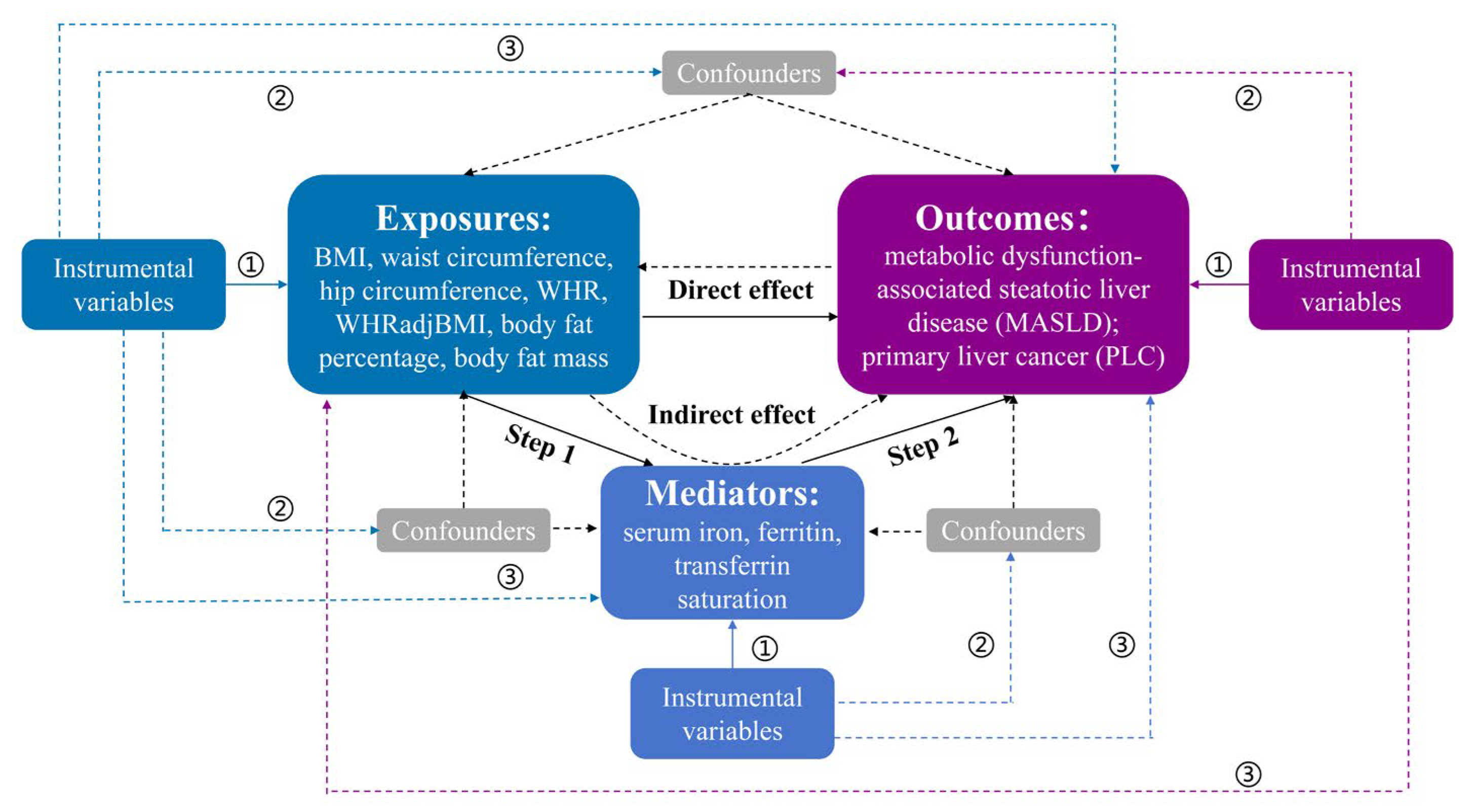 Biomedicines 13 01641 g001