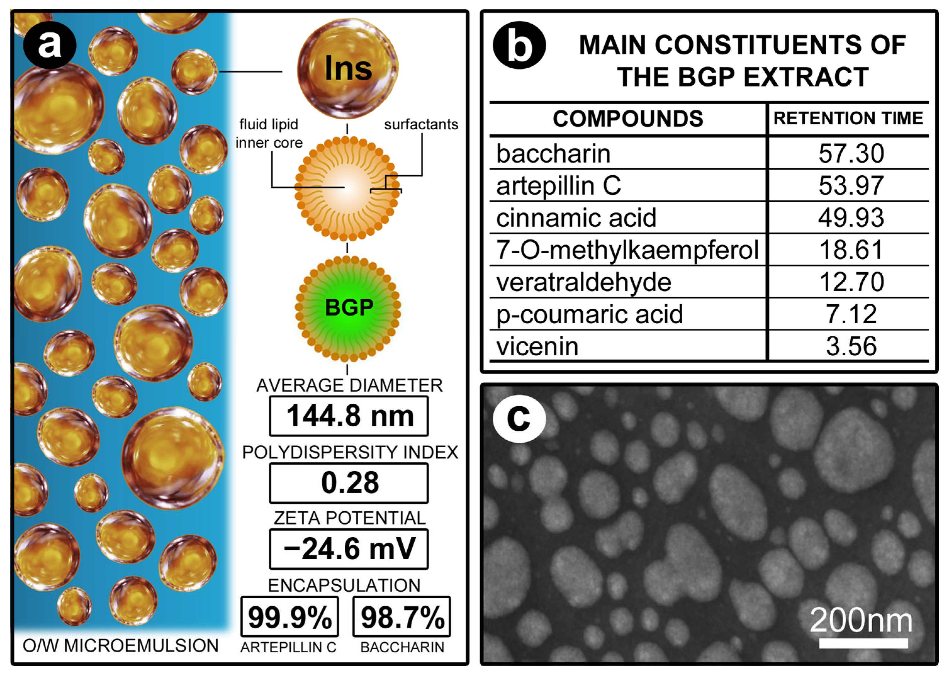 Biomedicines 13 01643 g002