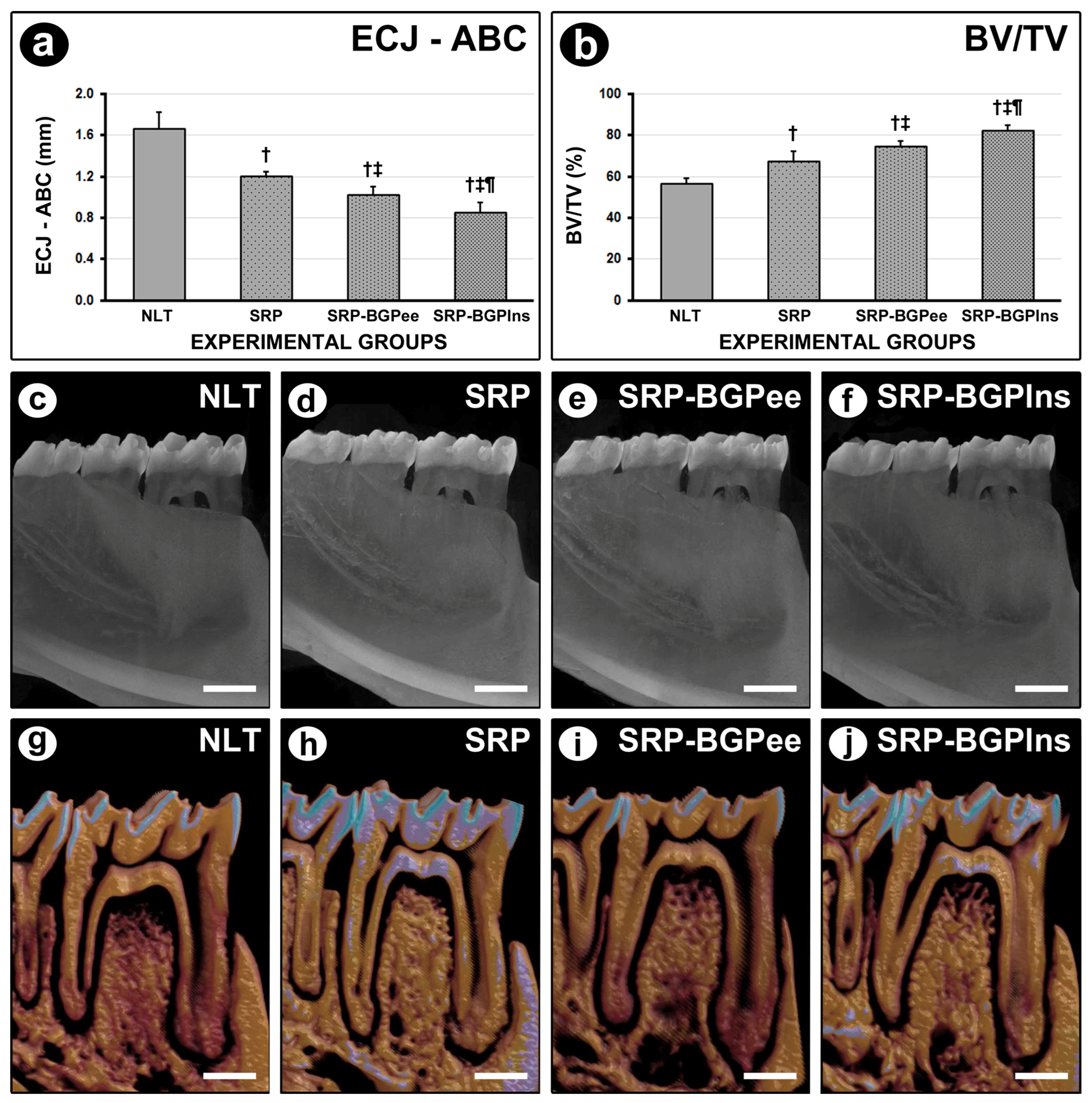Biomedicines 13 01643 g003