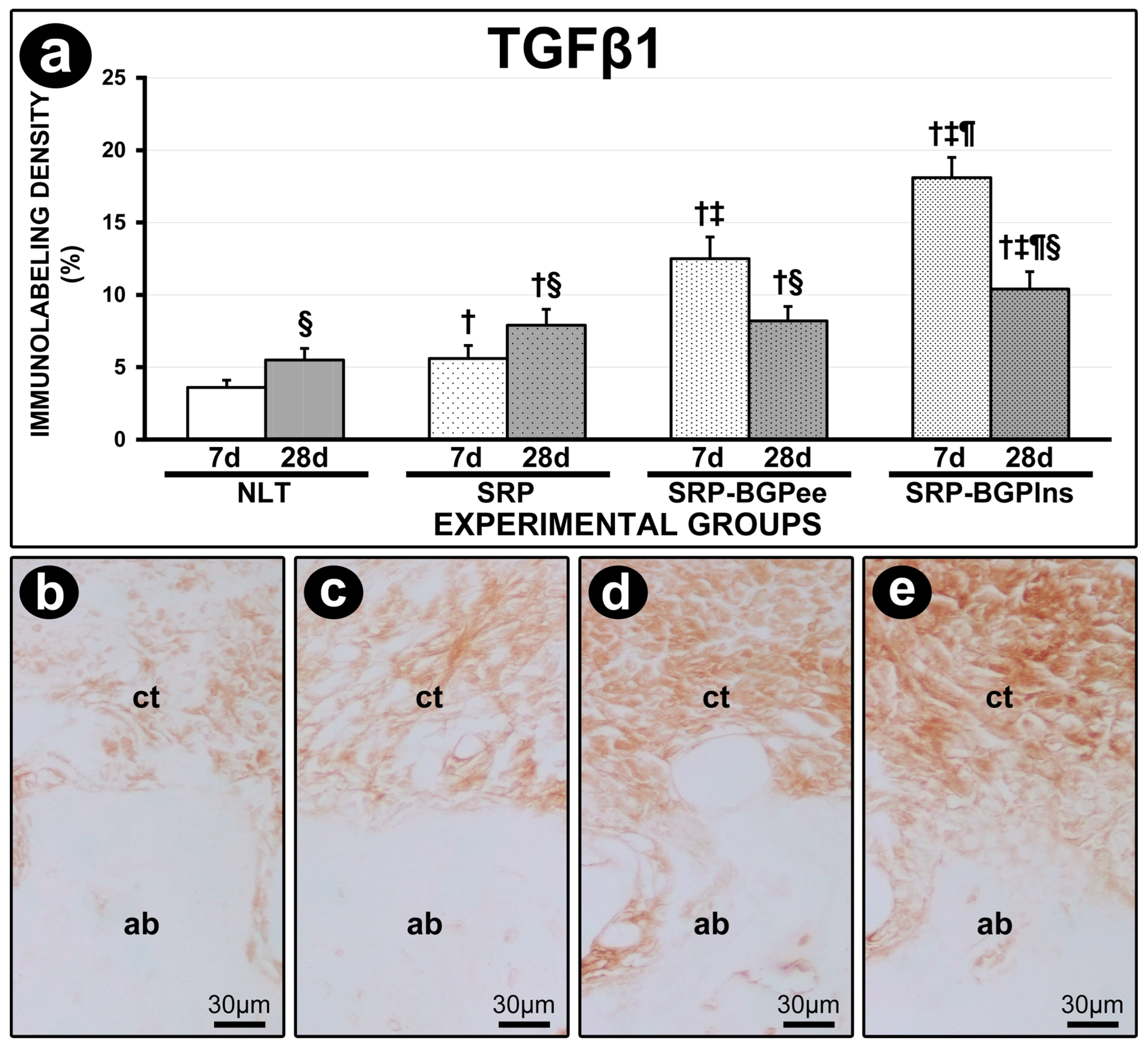Biomedicines 13 01643 g006