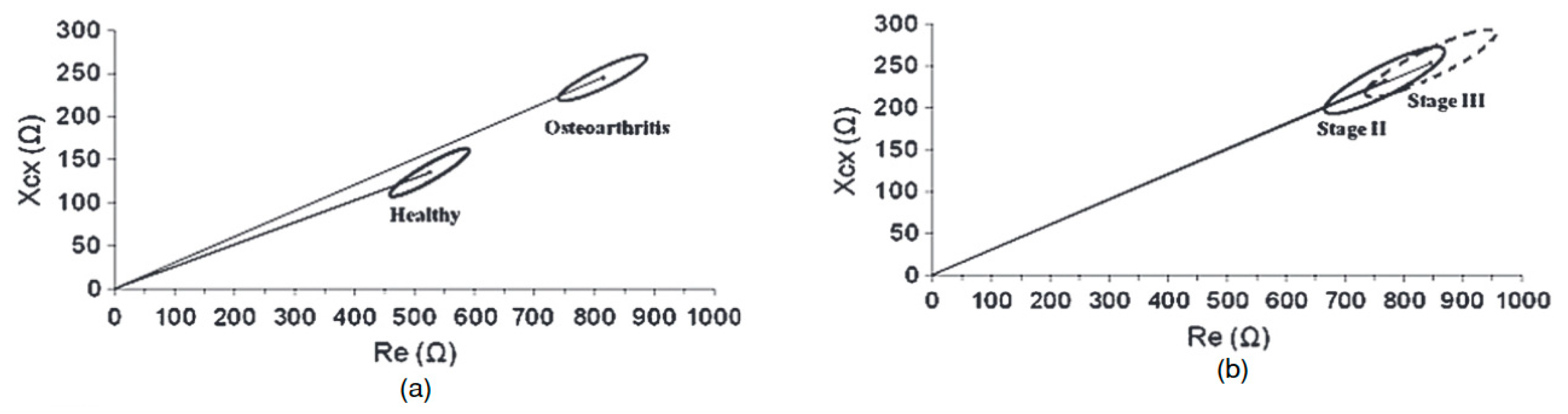 Biomedicines 13 01644 g003