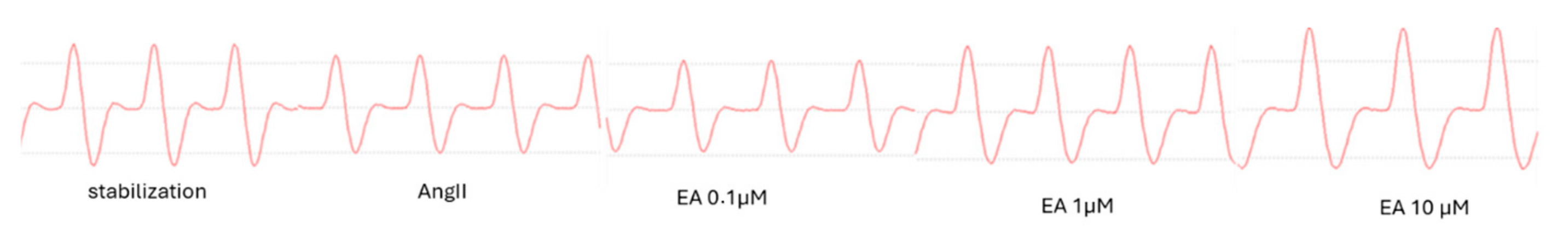Biomedicines 13 01645 g003