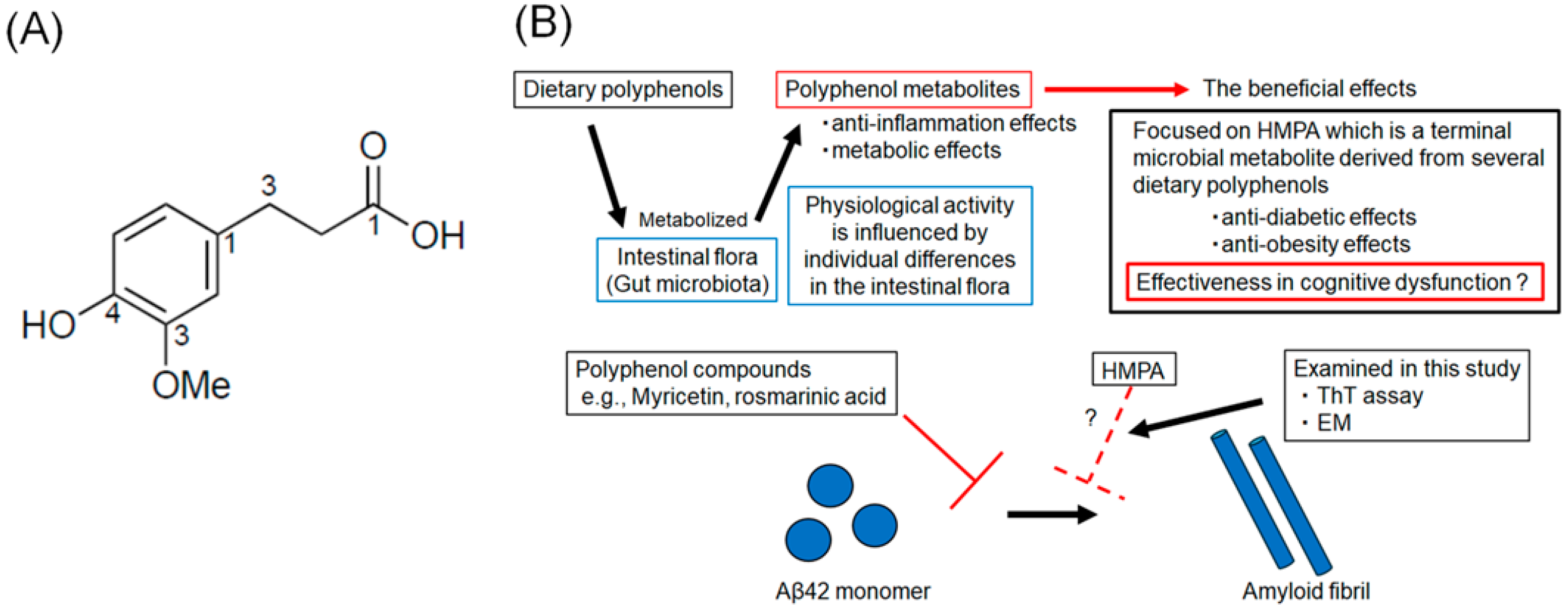 Biomedicines 13 01649 g001