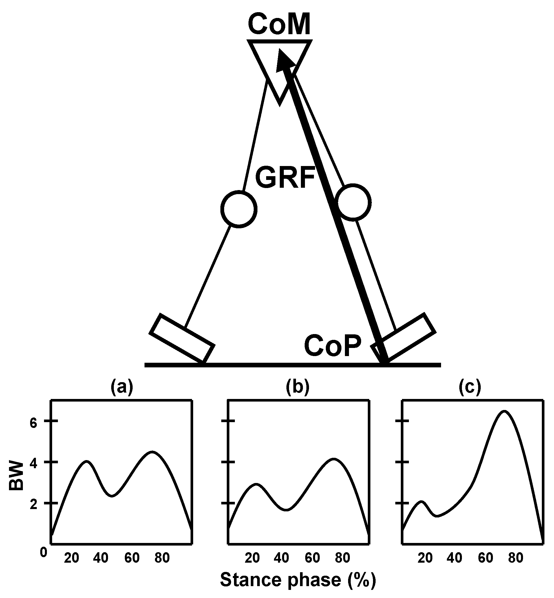 Biomedicines 13 01650 g002