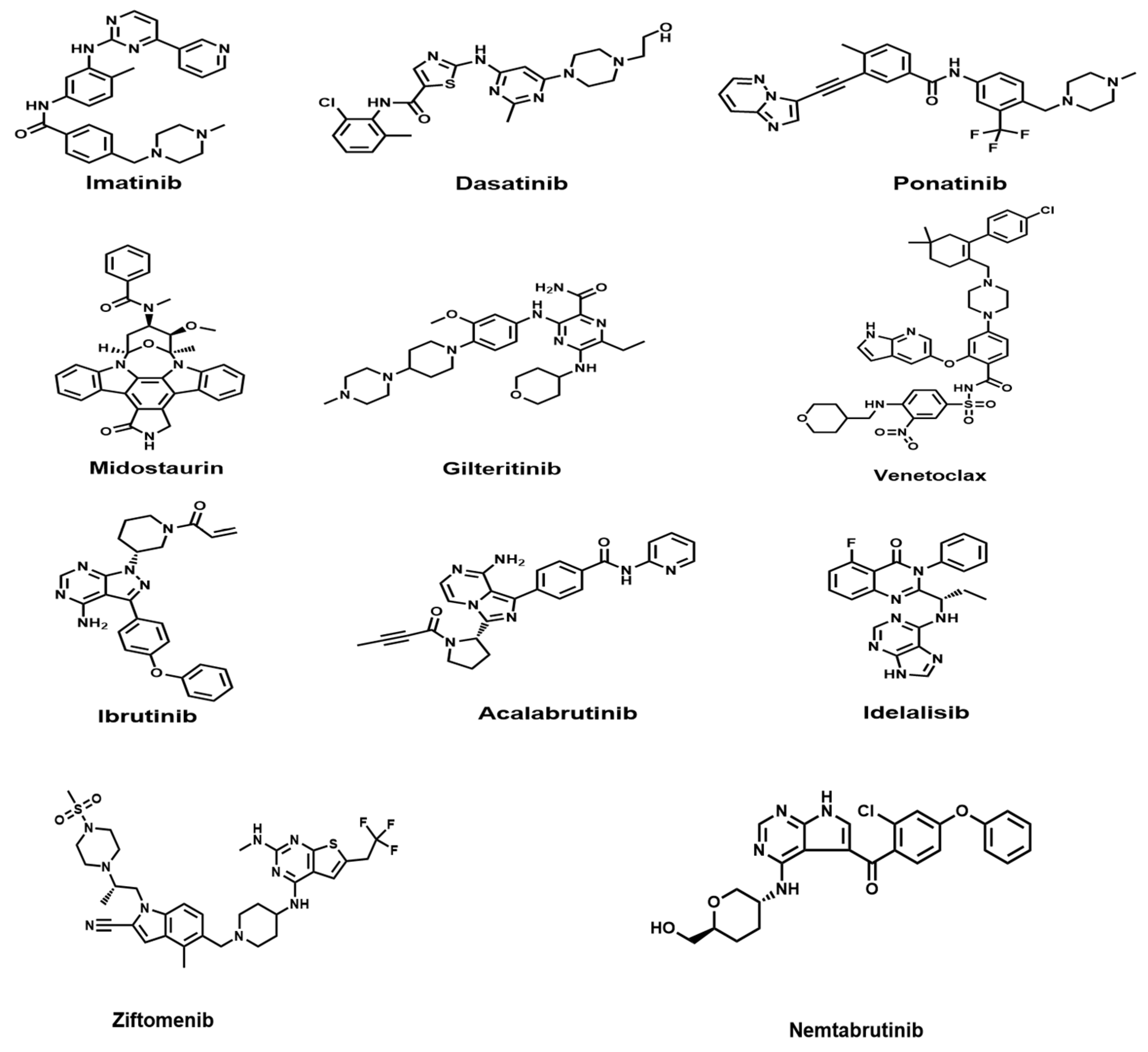 Biomedicines 13 01652 g001