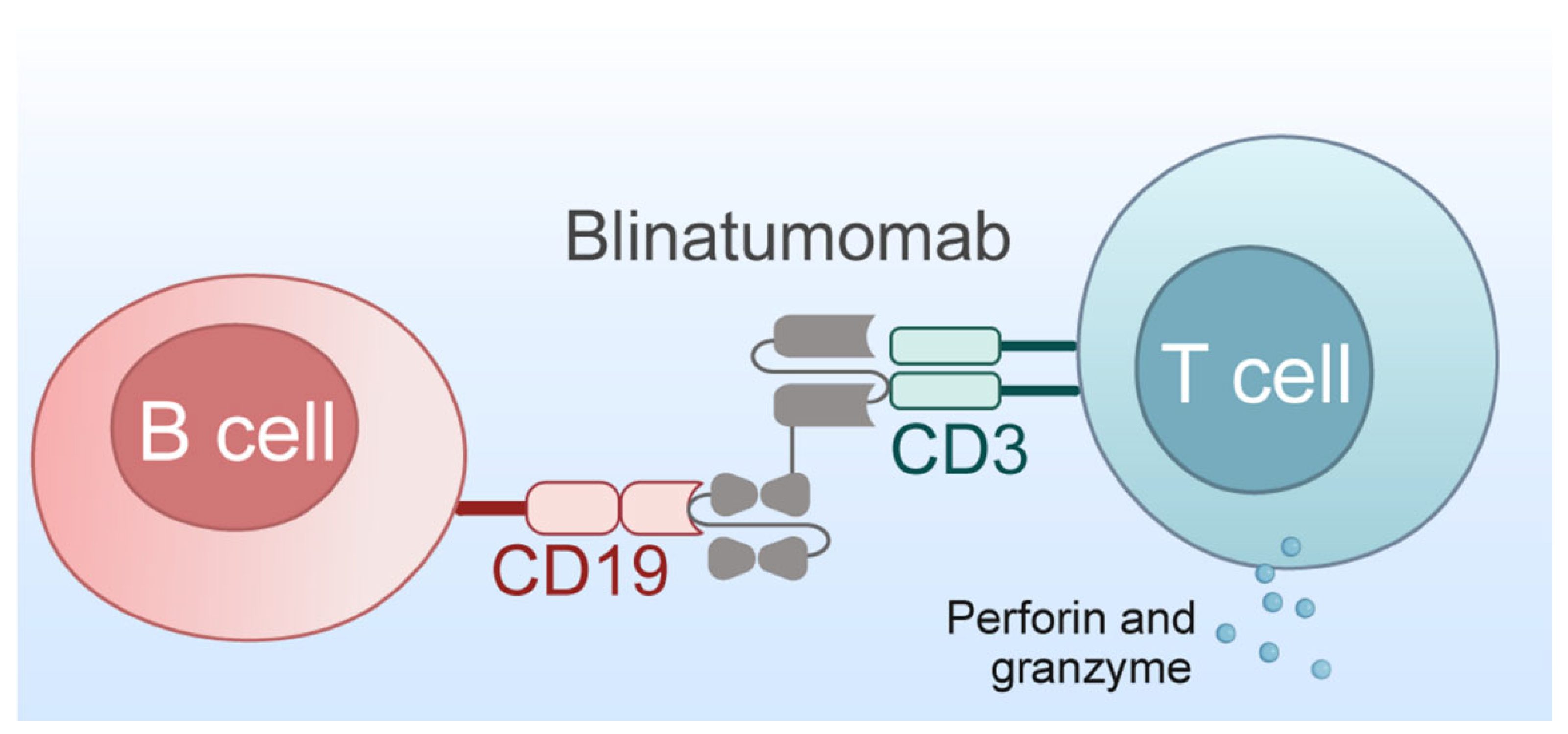 Biomedicines 13 01652 g005