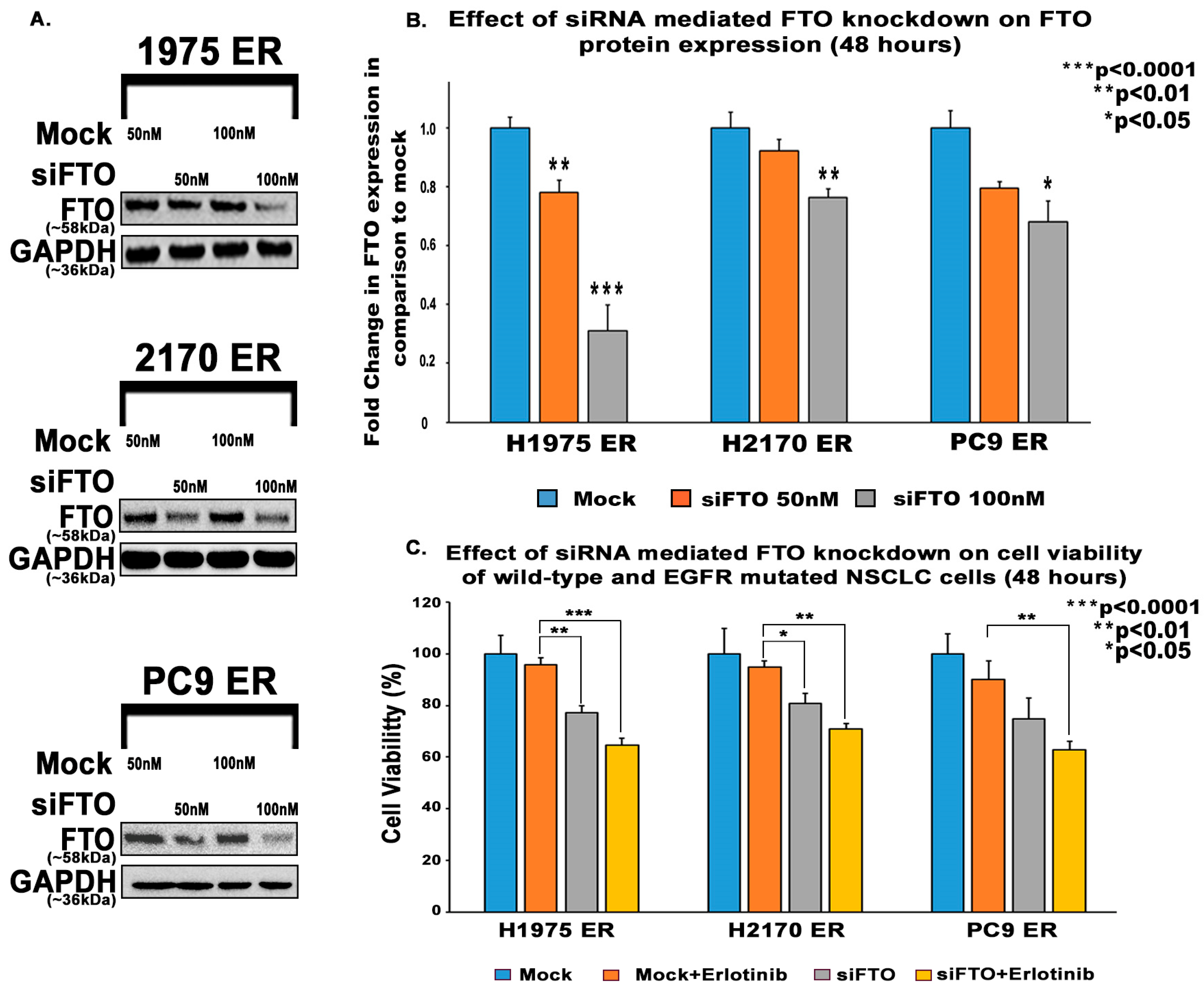 Biomedicines 13 01653 g006