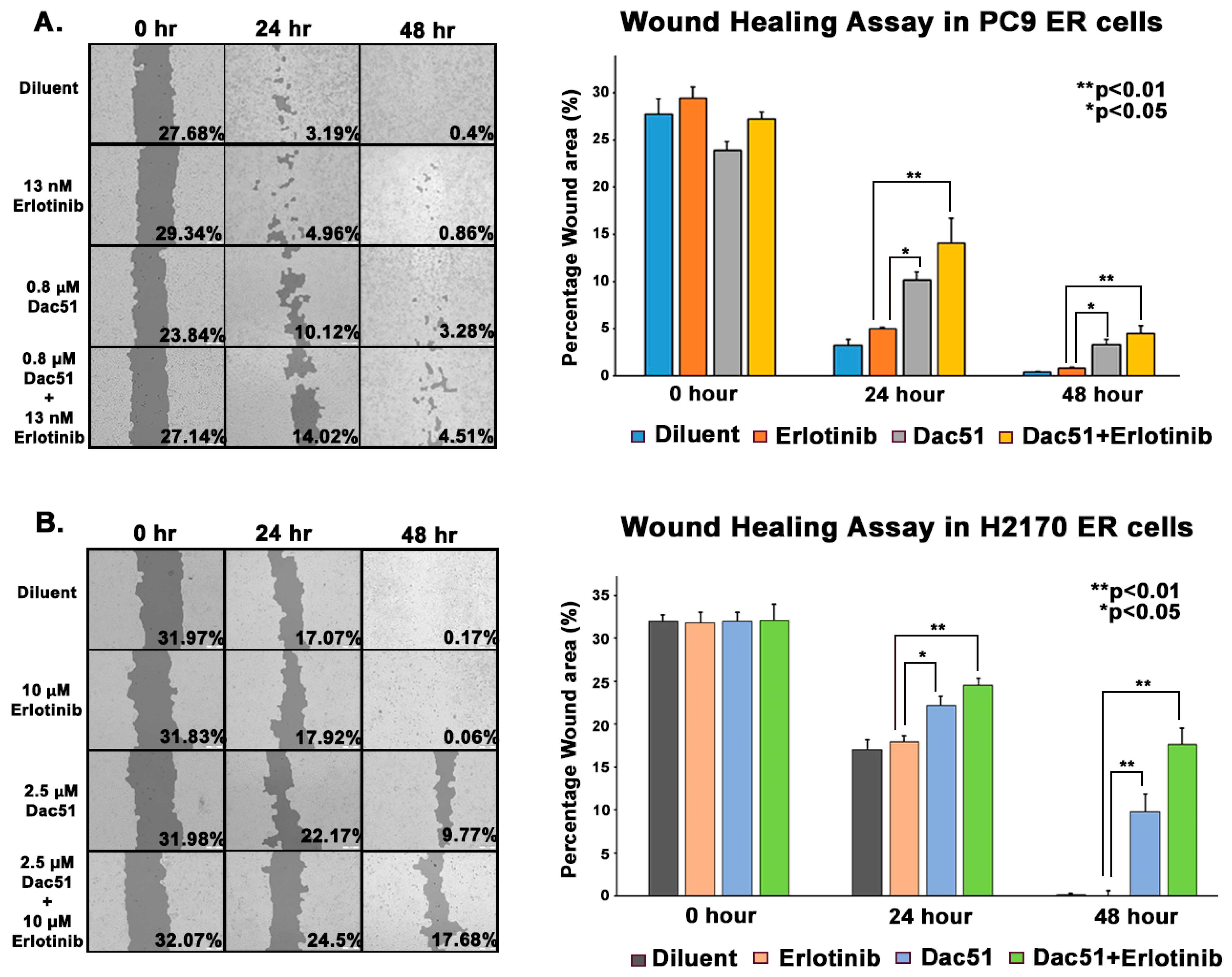 Biomedicines 13 01653 g007
