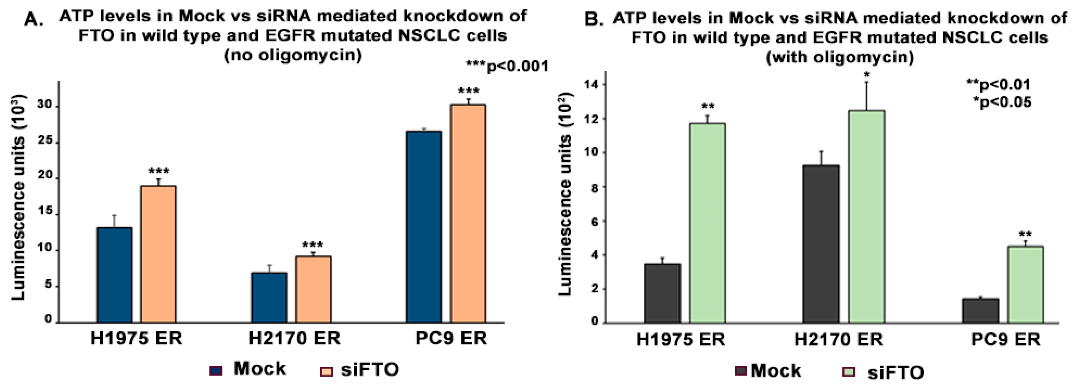 Biomedicines 13 01653 g010