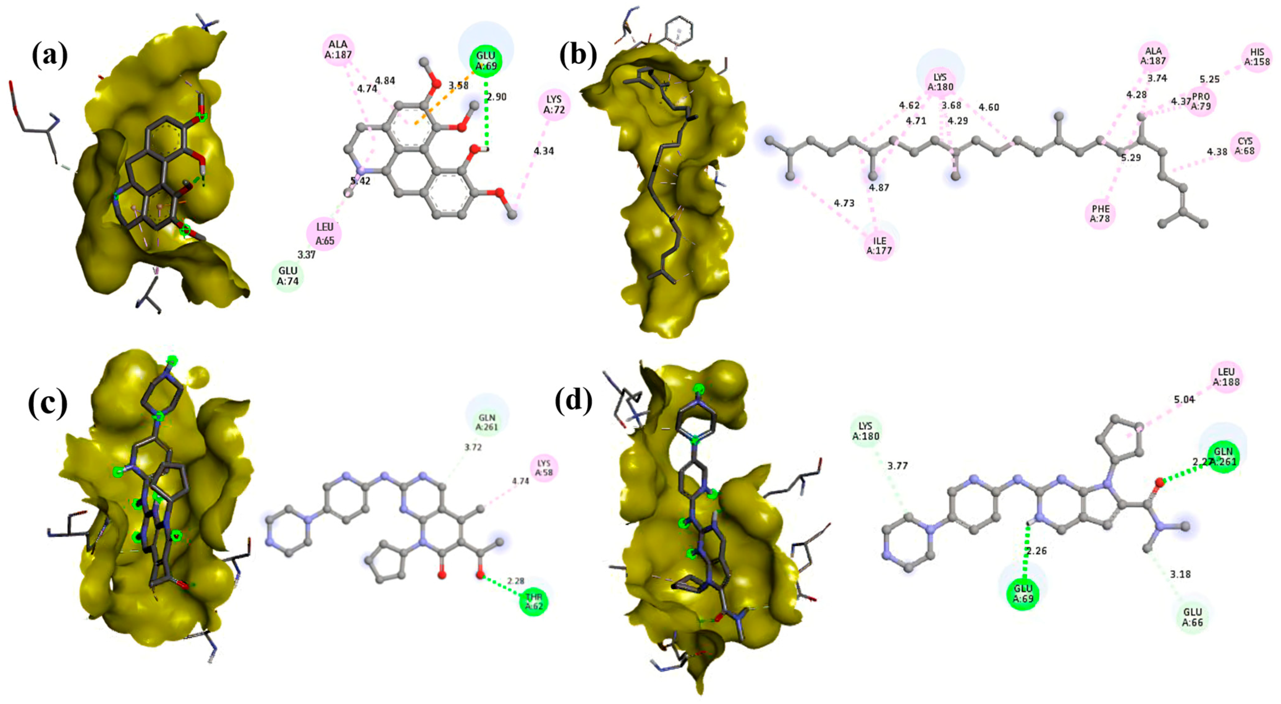 Biomedicines 13 01658 g010