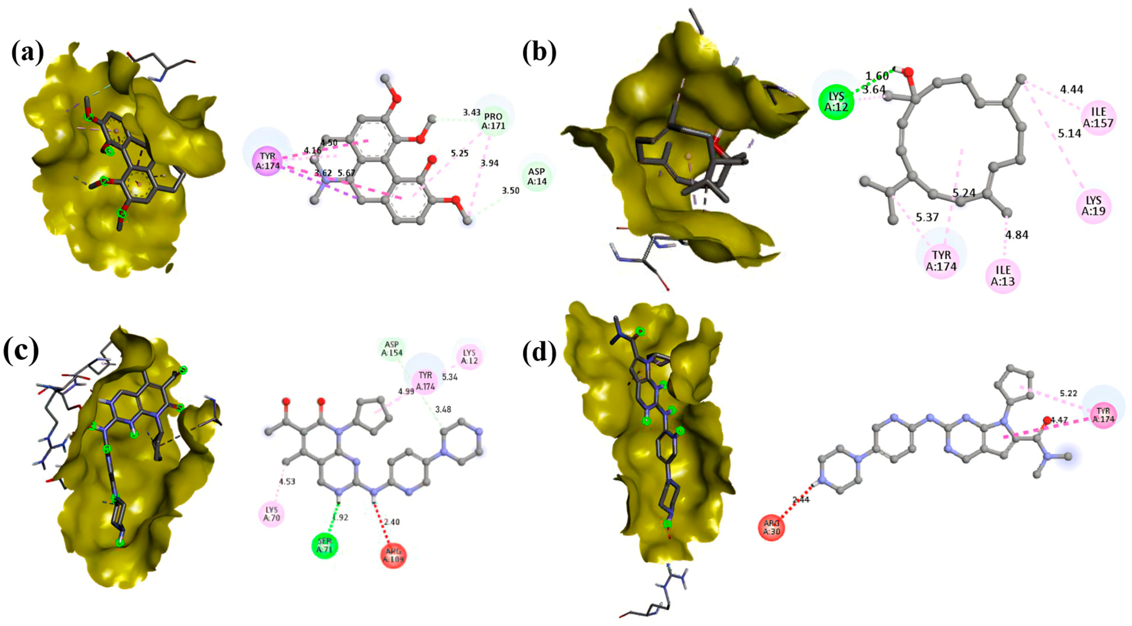 Biomedicines 13 01658 g011