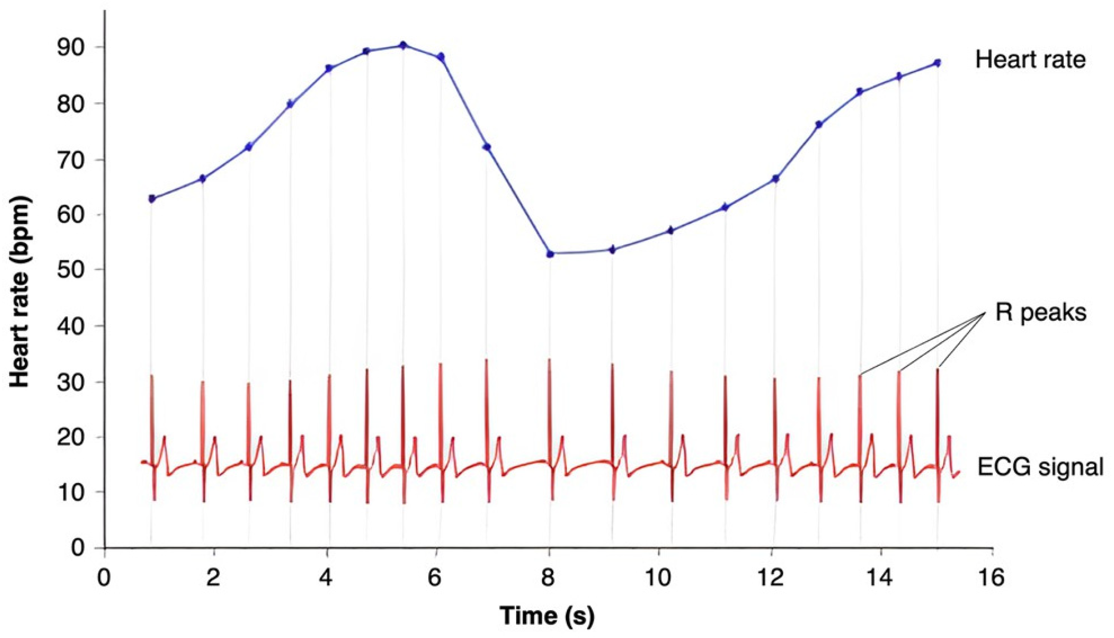 Biomedicines 13 01659 g002