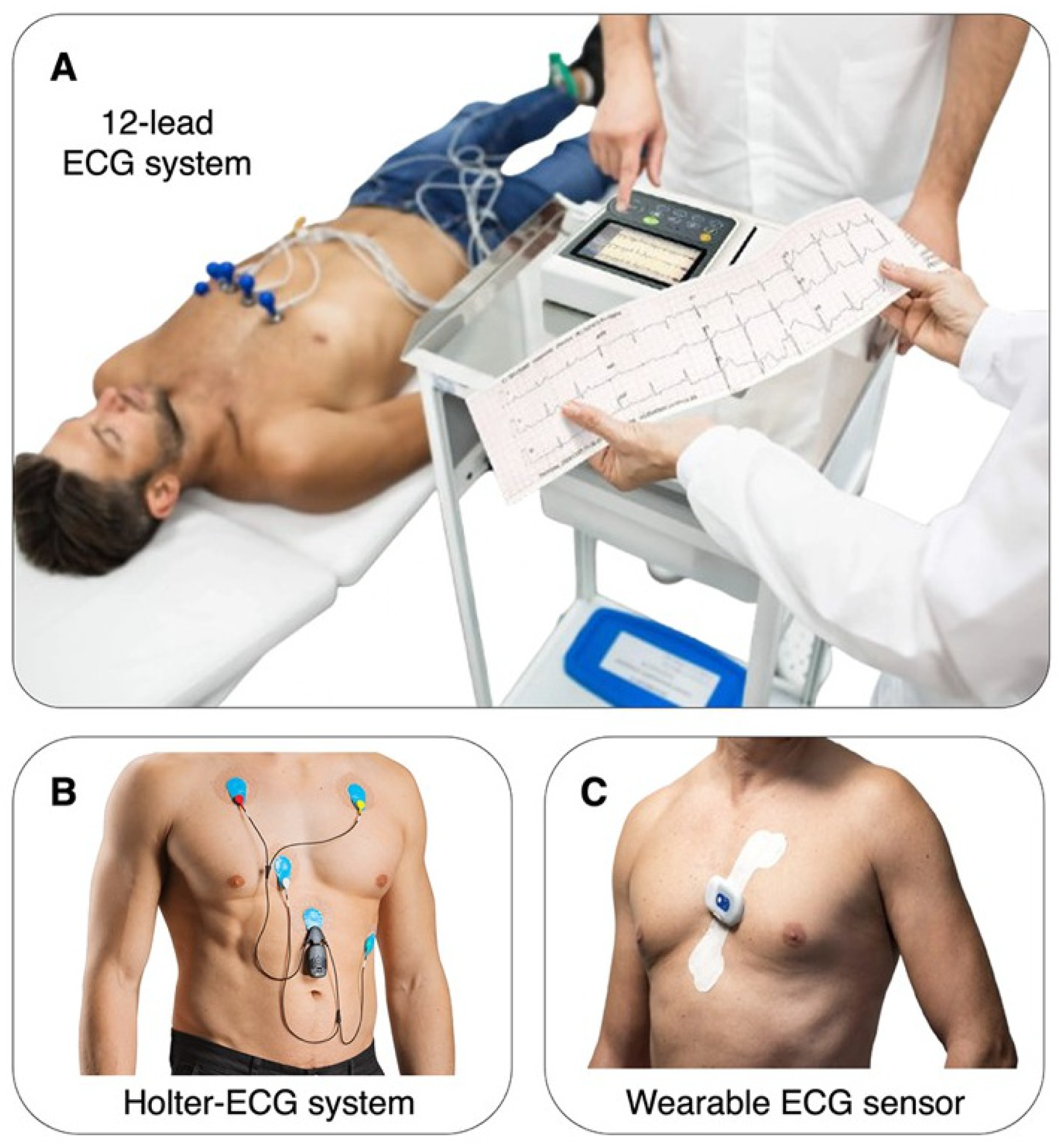 Biomedicines 13 01659 g003