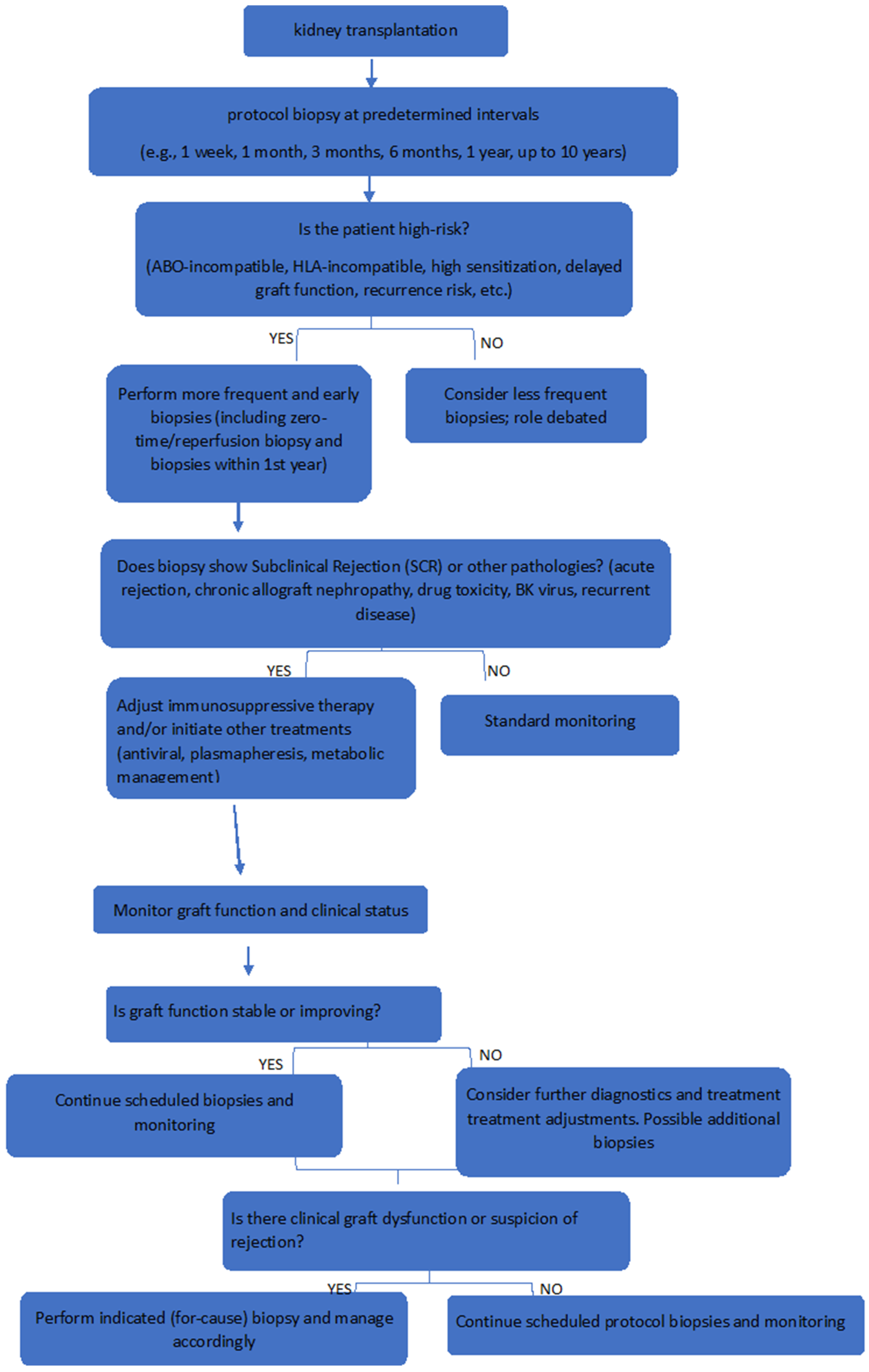 Biomedicines 13 01660 g001