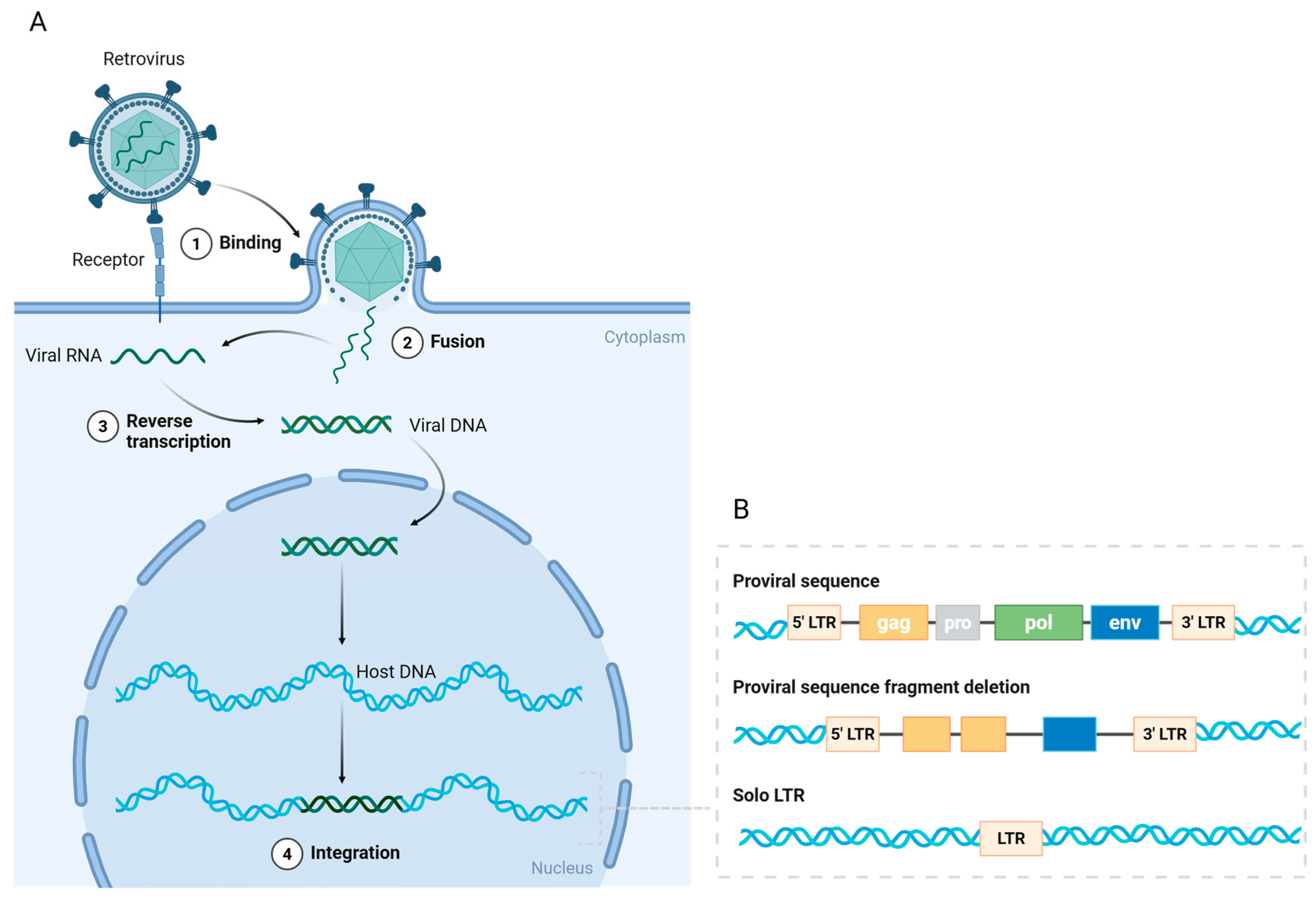 Biomedicines 13 01662 g001