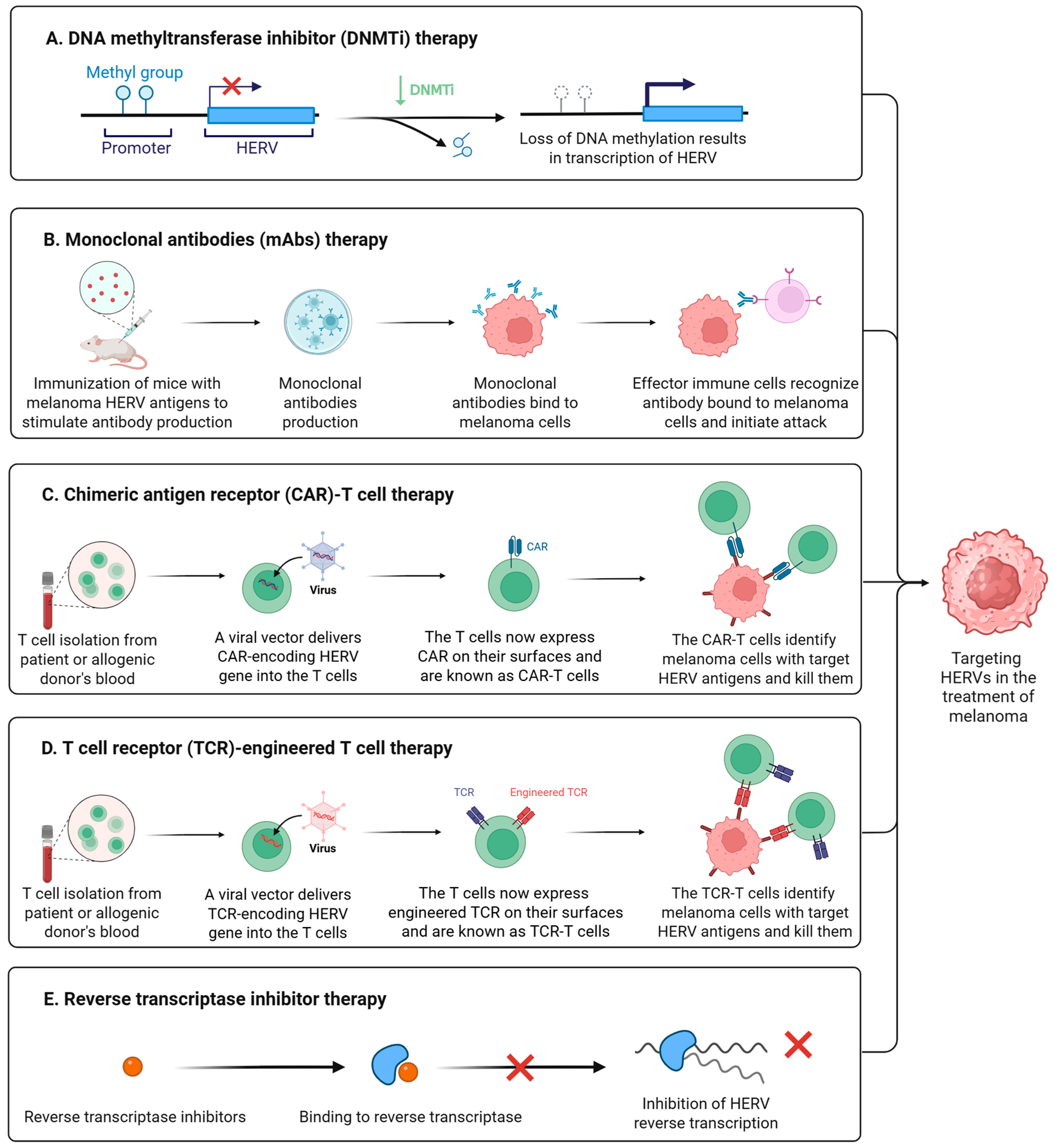 Biomedicines 13 01662 g004