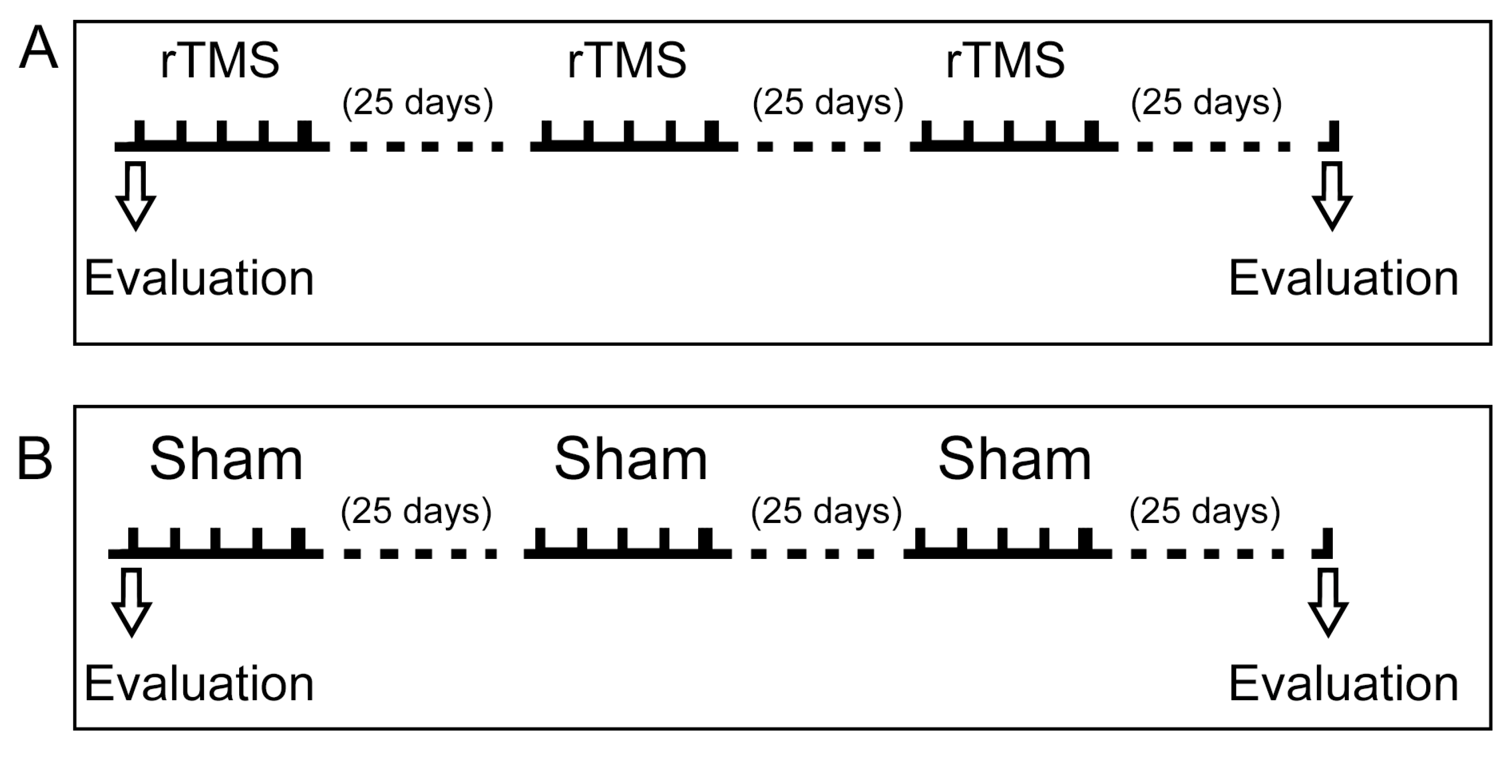 Biomedicines 13 01663 g002 Biomedicines 13 01663 g002