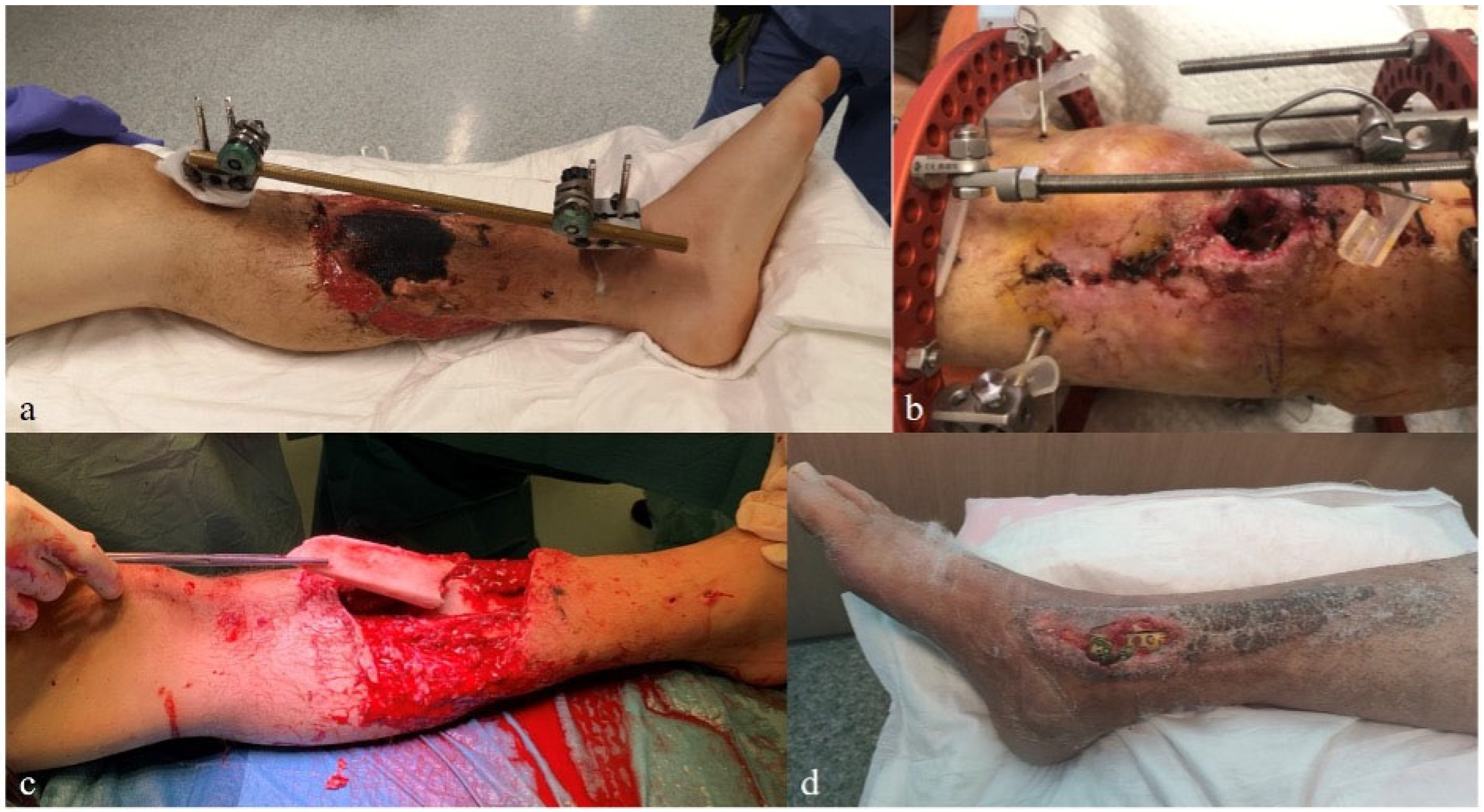 Biomedicines 13 01665 g001