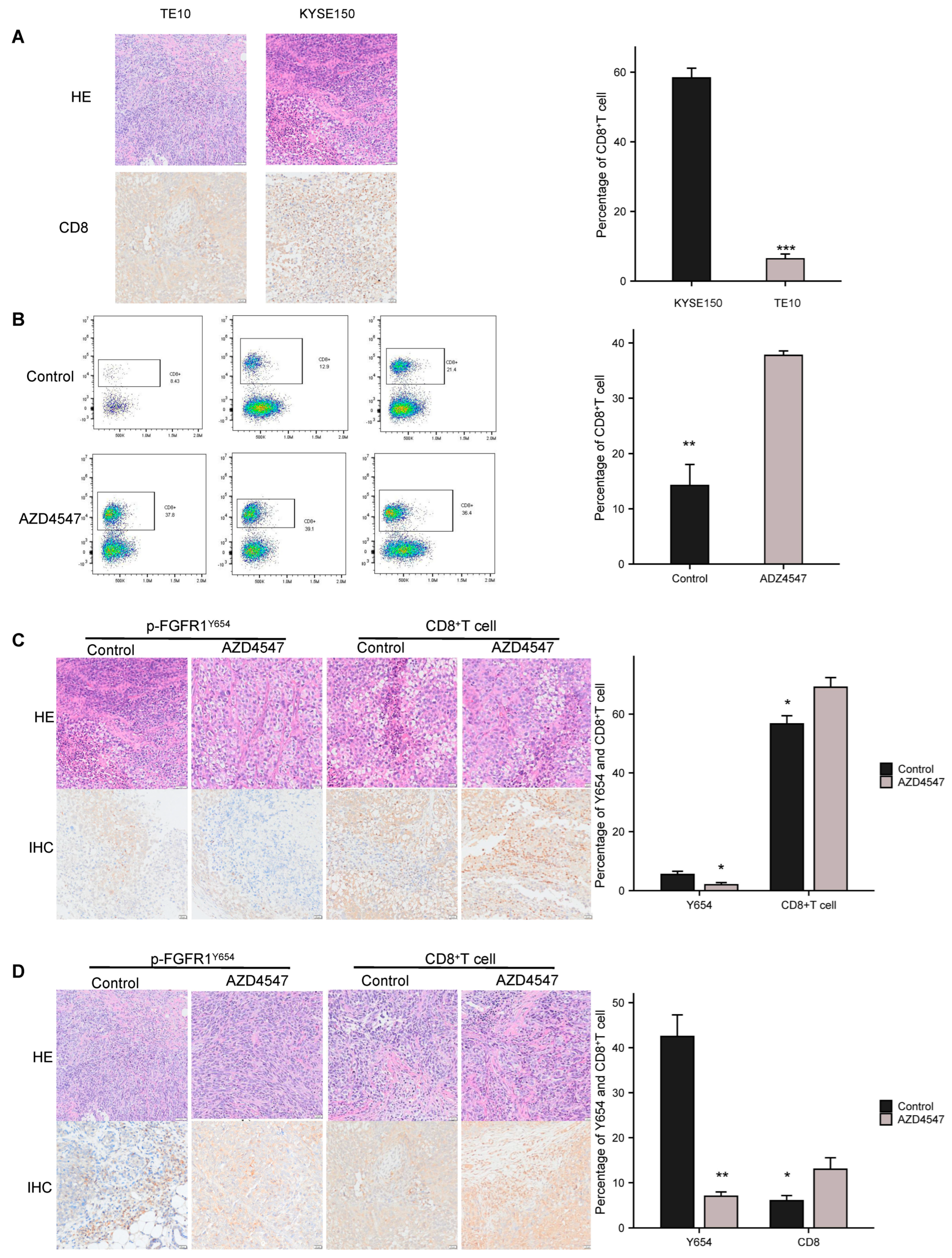 Biomedicines 13 01667 g003
