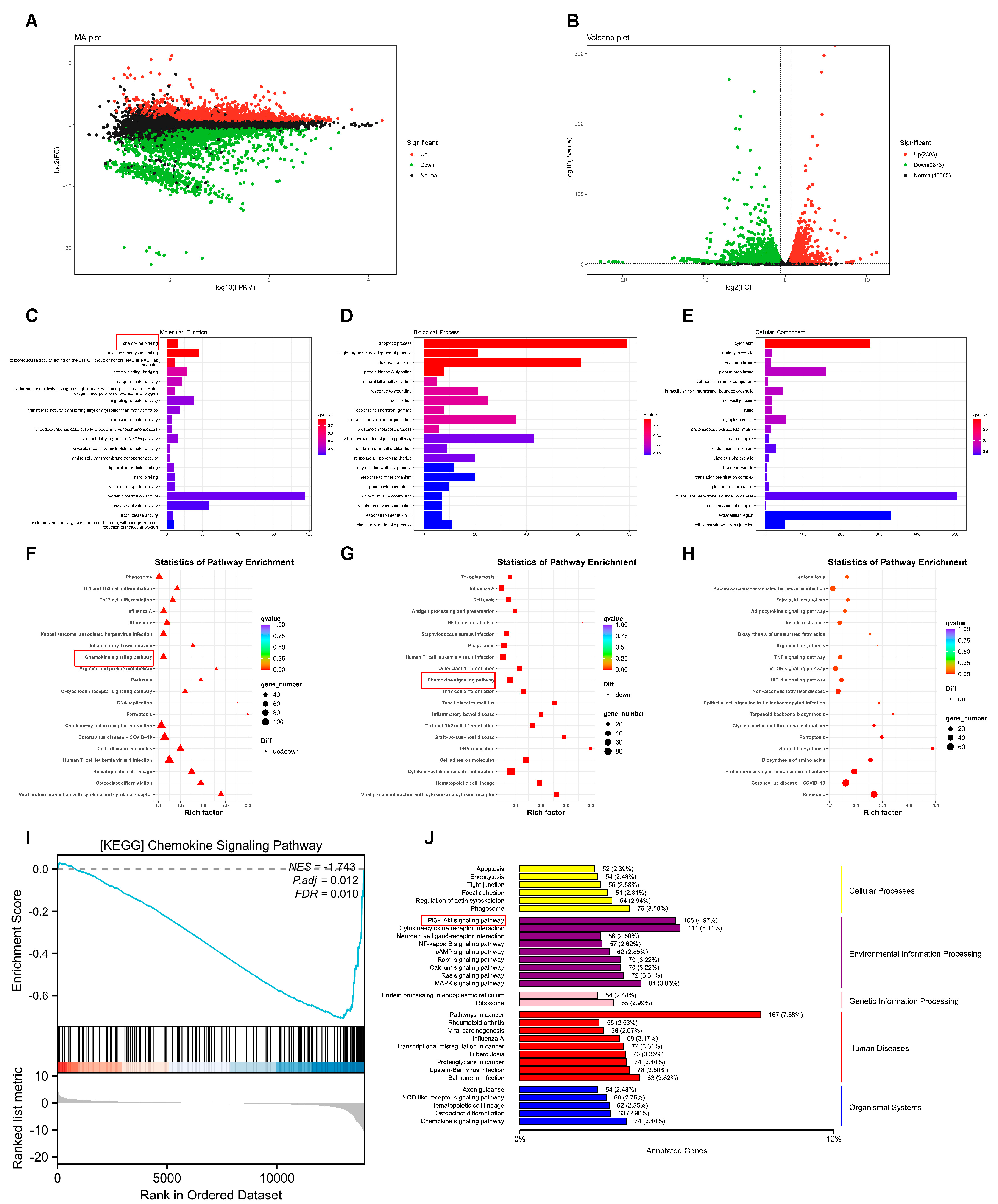 Biomedicines 13 01667 g004